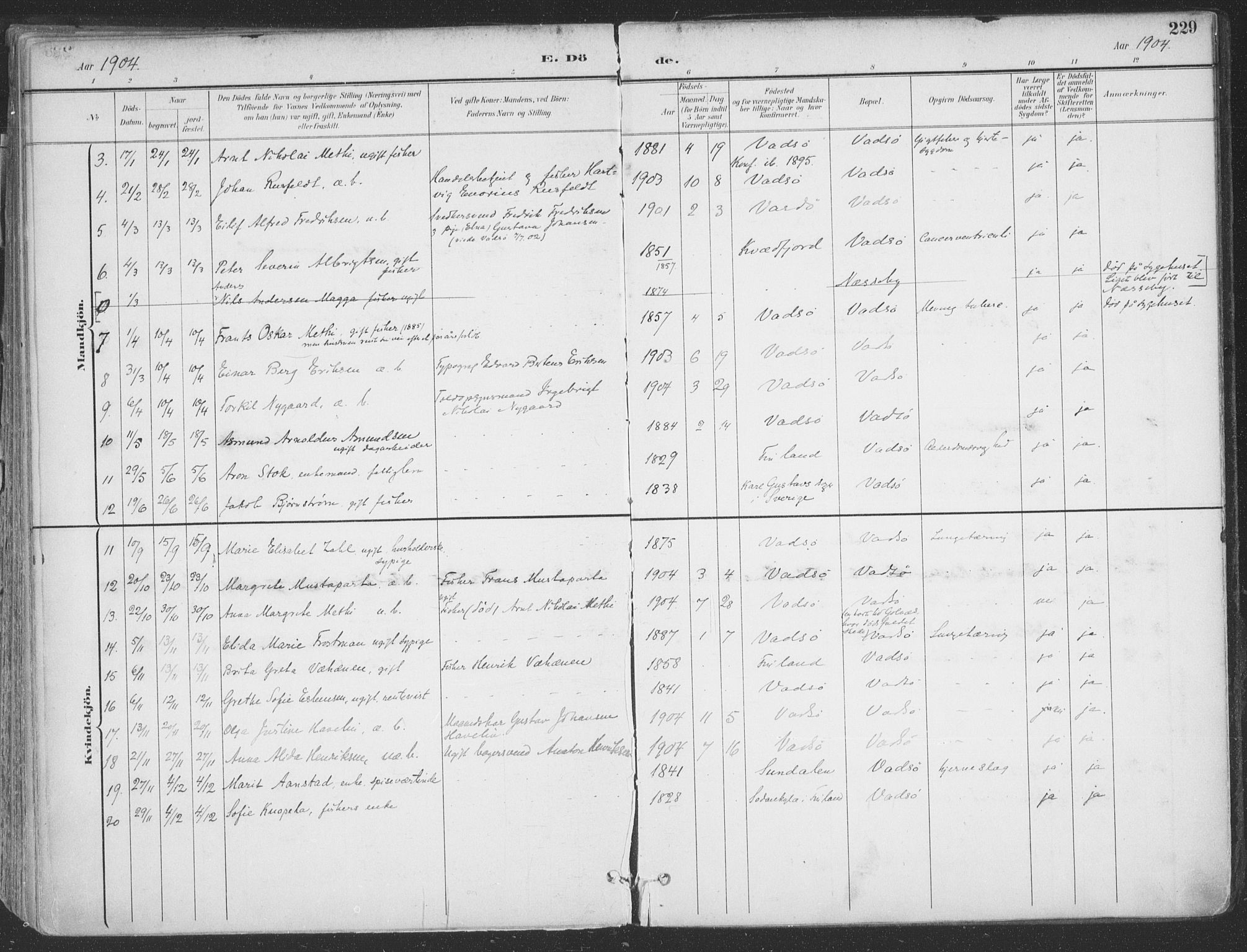 Vadsø sokneprestkontor, AV/SATØ-S-1325/H/Ha/L0007kirke: Parish register (official) no. 7, 1896-1916, p. 229