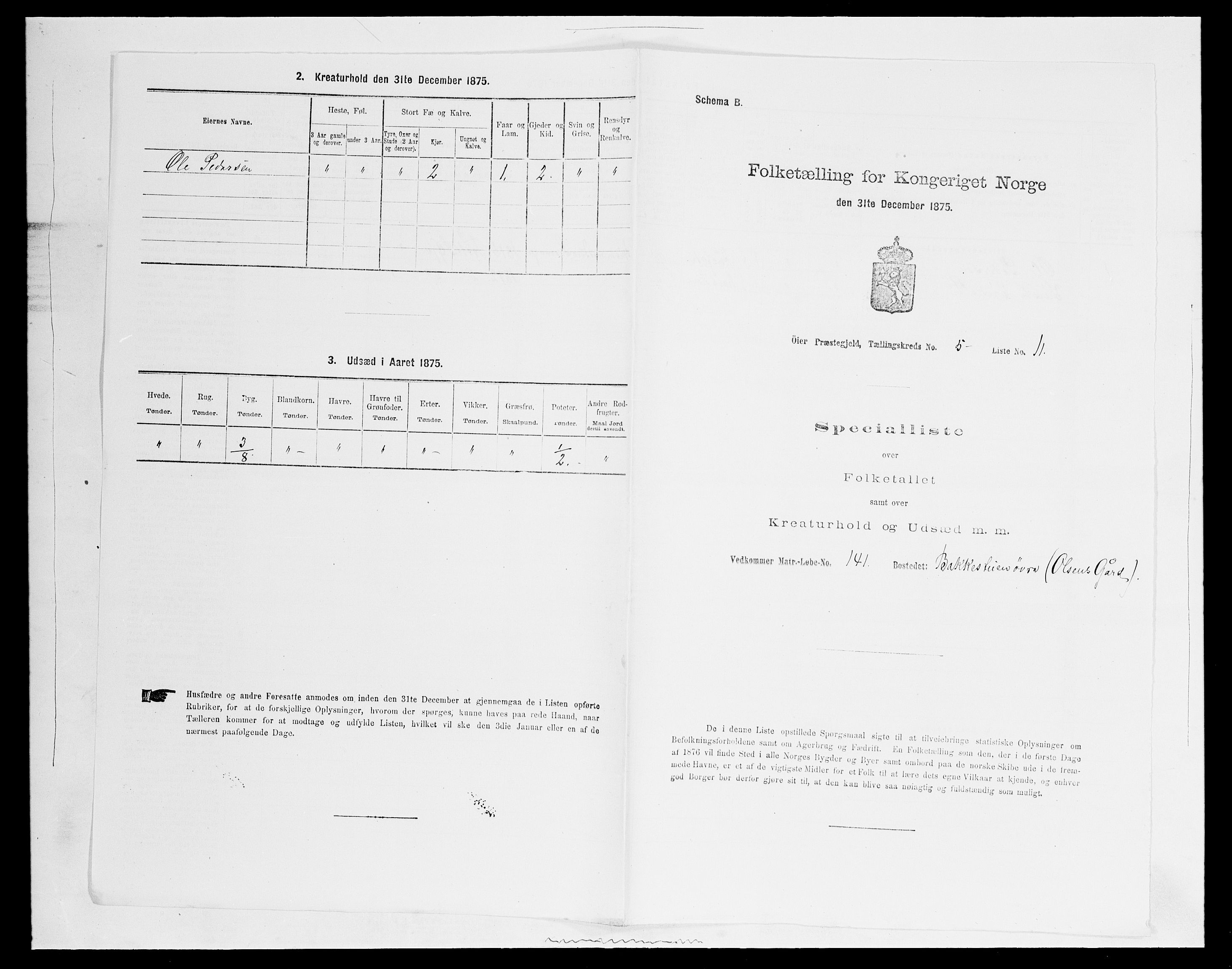 SAH, 1875 census for 0521P Øyer, 1875, p. 976