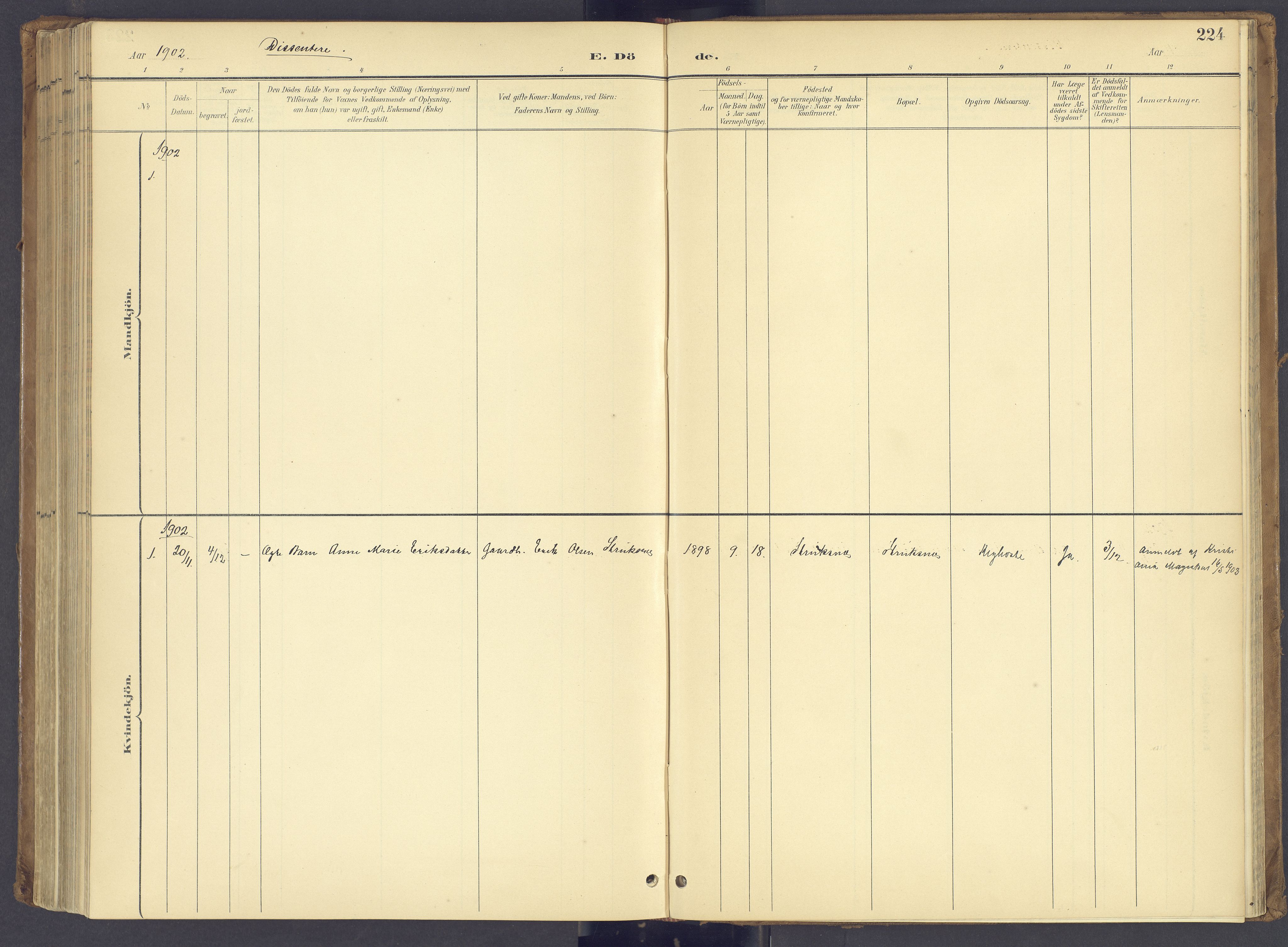 Søndre Land prestekontor, AV/SAH-PREST-122/K/L0006: Parish register (official) no. 6, 1895-1904, p. 224