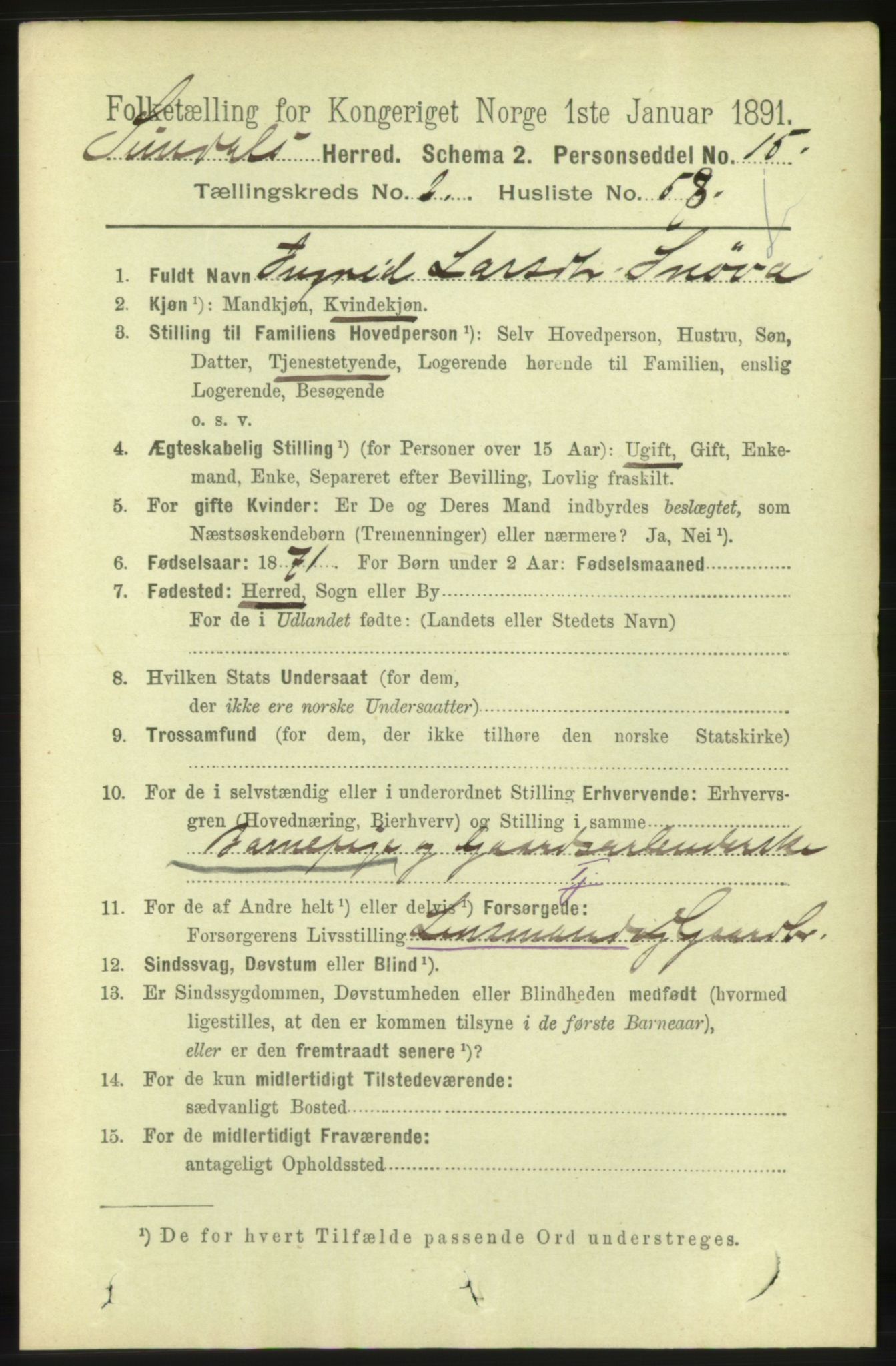 RA, 1891 census for 1563 Sunndal, 1891, p. 601