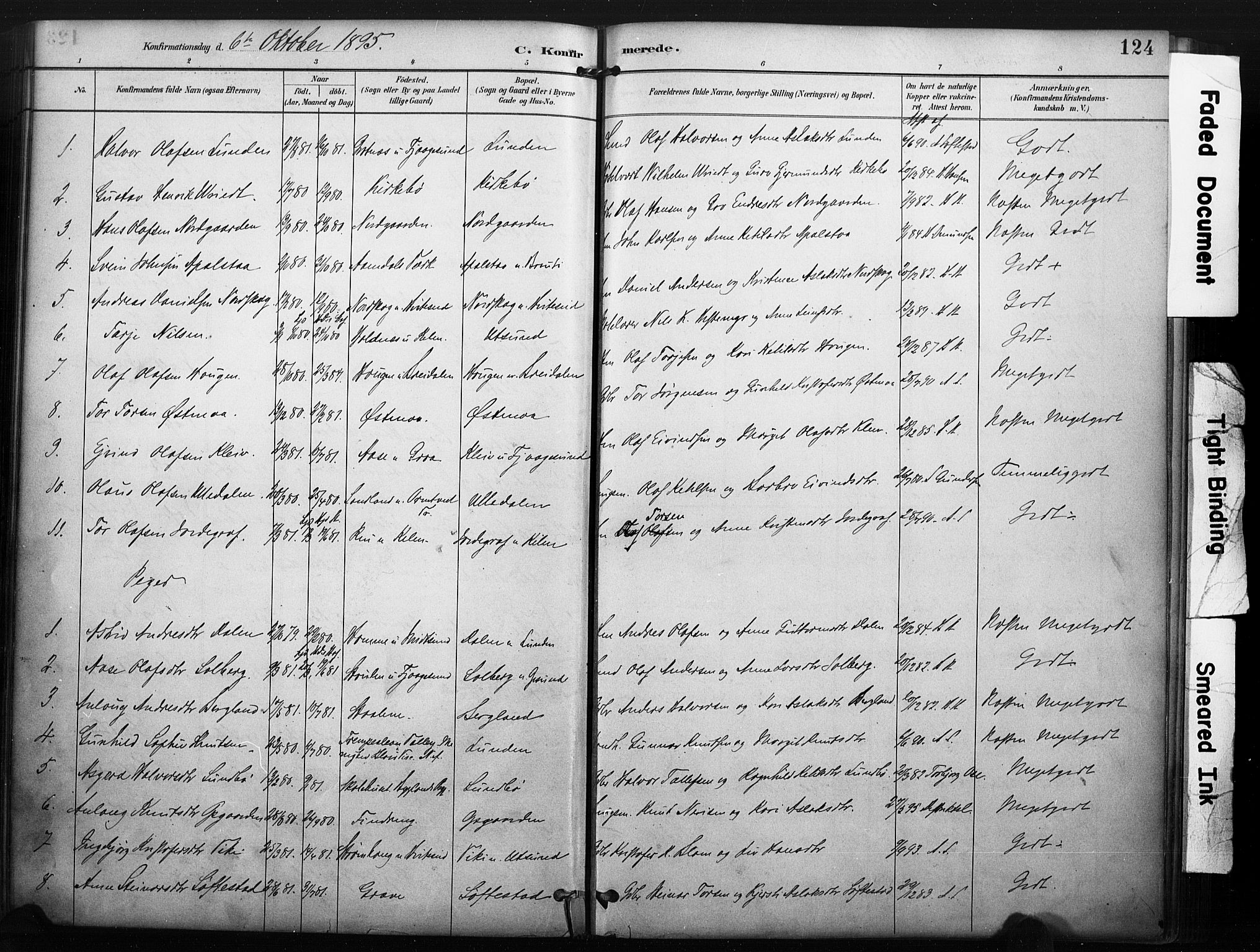 Kviteseid kirkebøker, SAKO/A-276/F/Fa/L0008: Parish register (official) no. I 8, 1882-1903, p. 124
