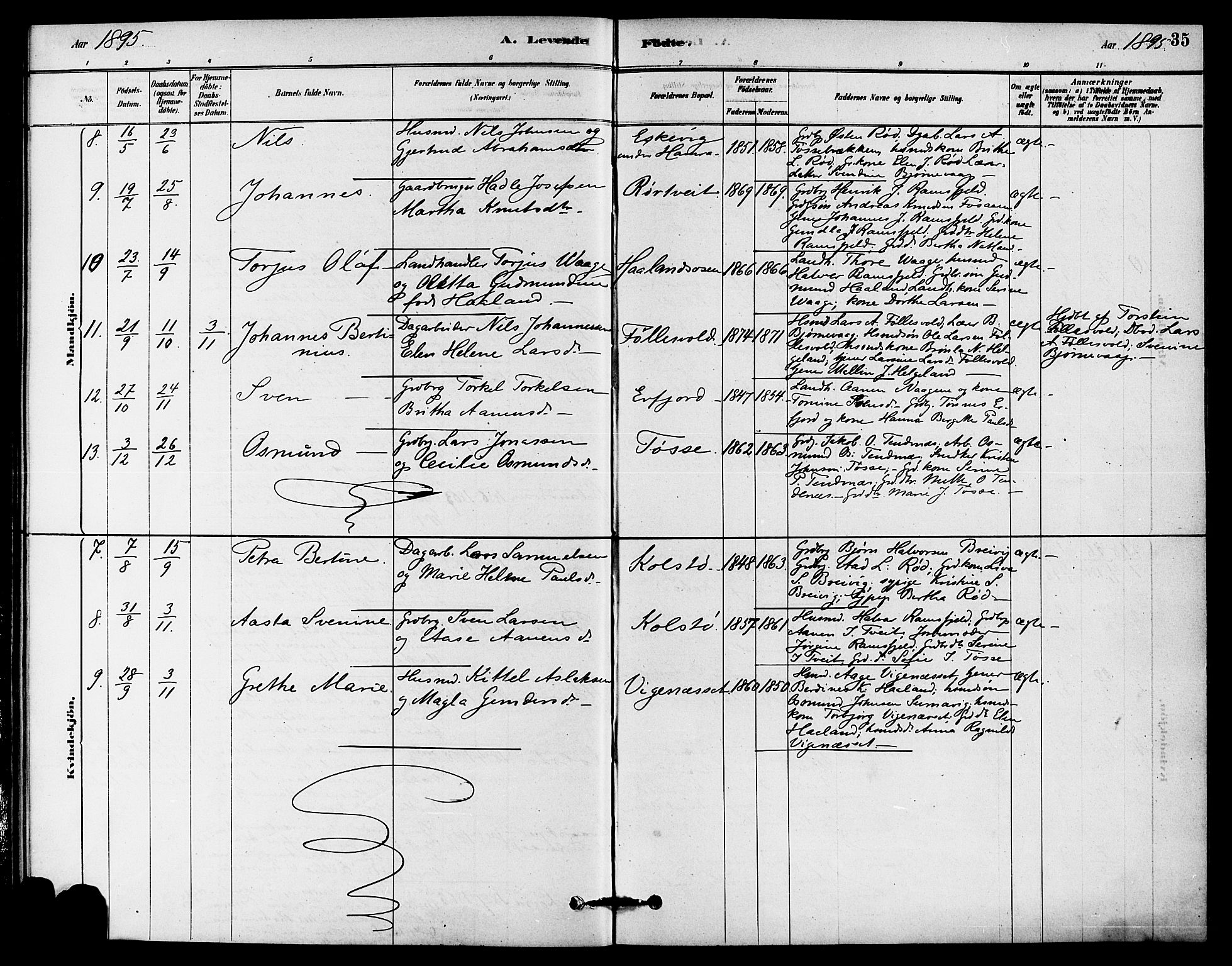 Jelsa sokneprestkontor, AV/SAST-A-101842/01/IV: Parish register (official) no. A 9, 1878-1898, p. 35