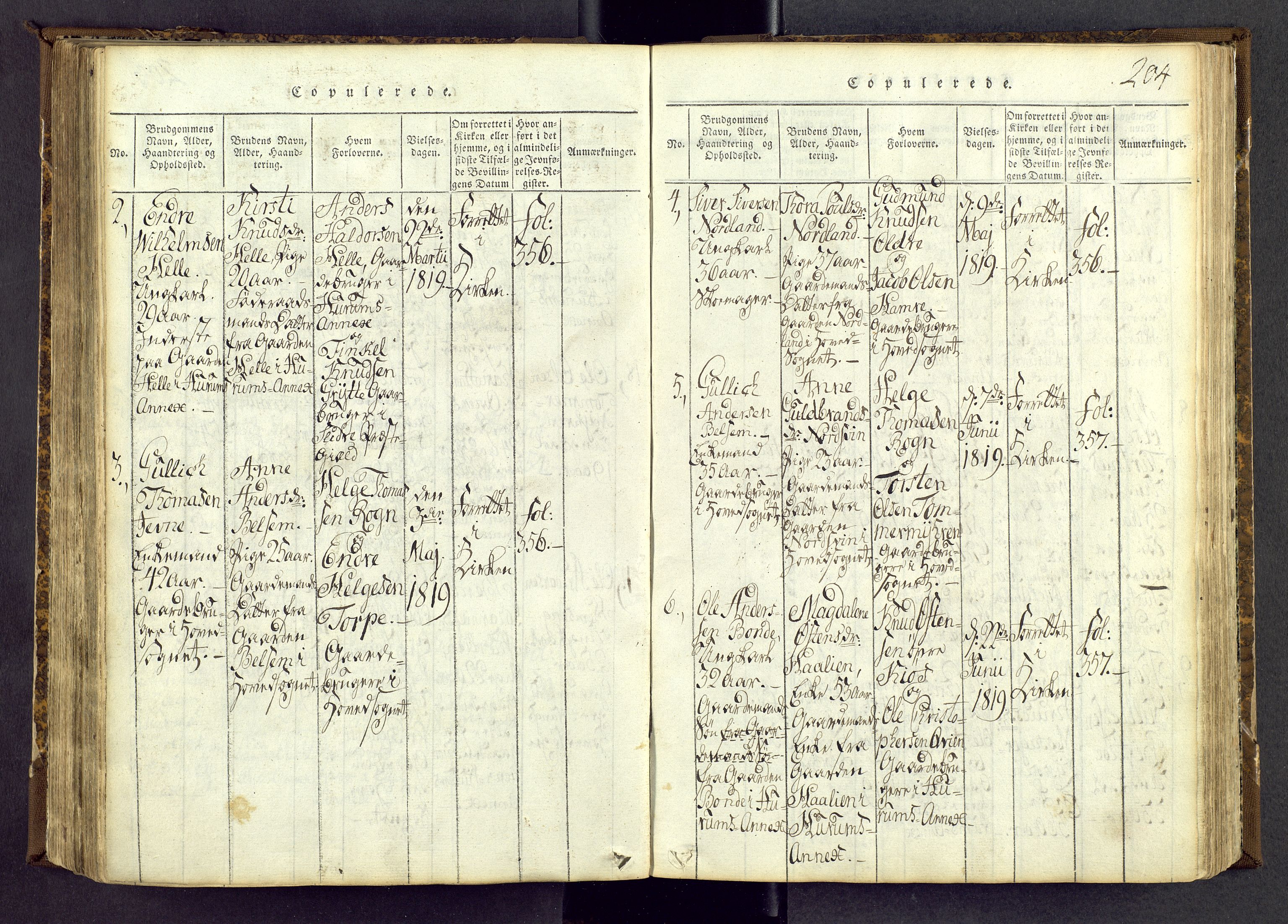 Vang prestekontor, Valdres, SAH/PREST-140/H/Ha/L0004: Parish register (official) no. 4, 1814-1831, p. 204