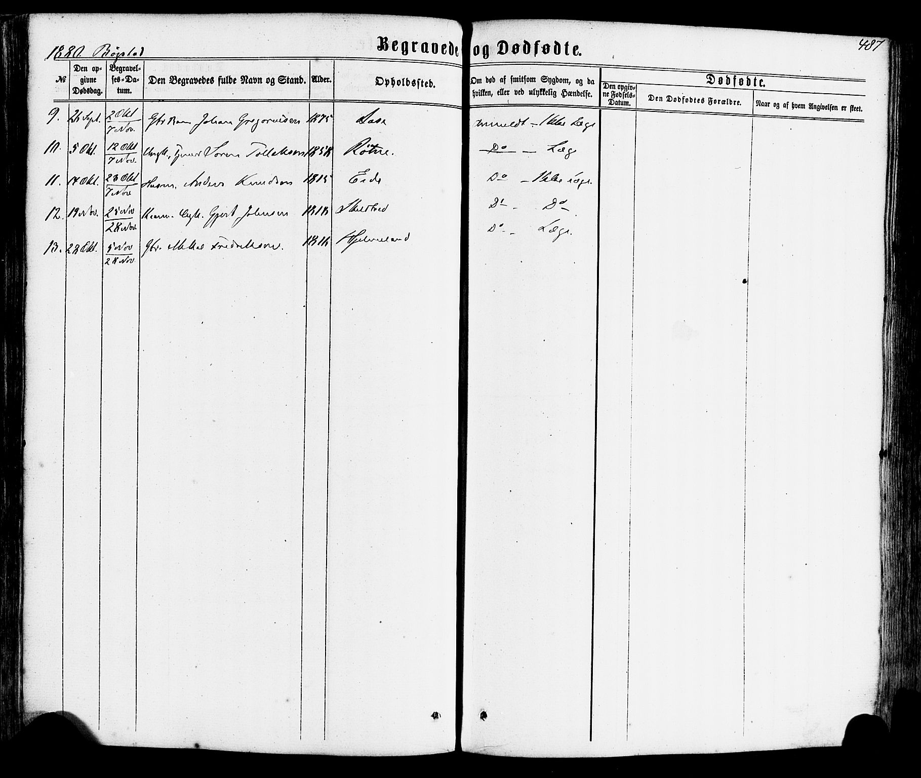 Gaular sokneprestembete, AV/SAB-A-80001/H/Haa: Parish register (official) no. A 5, 1860-1881, p. 487