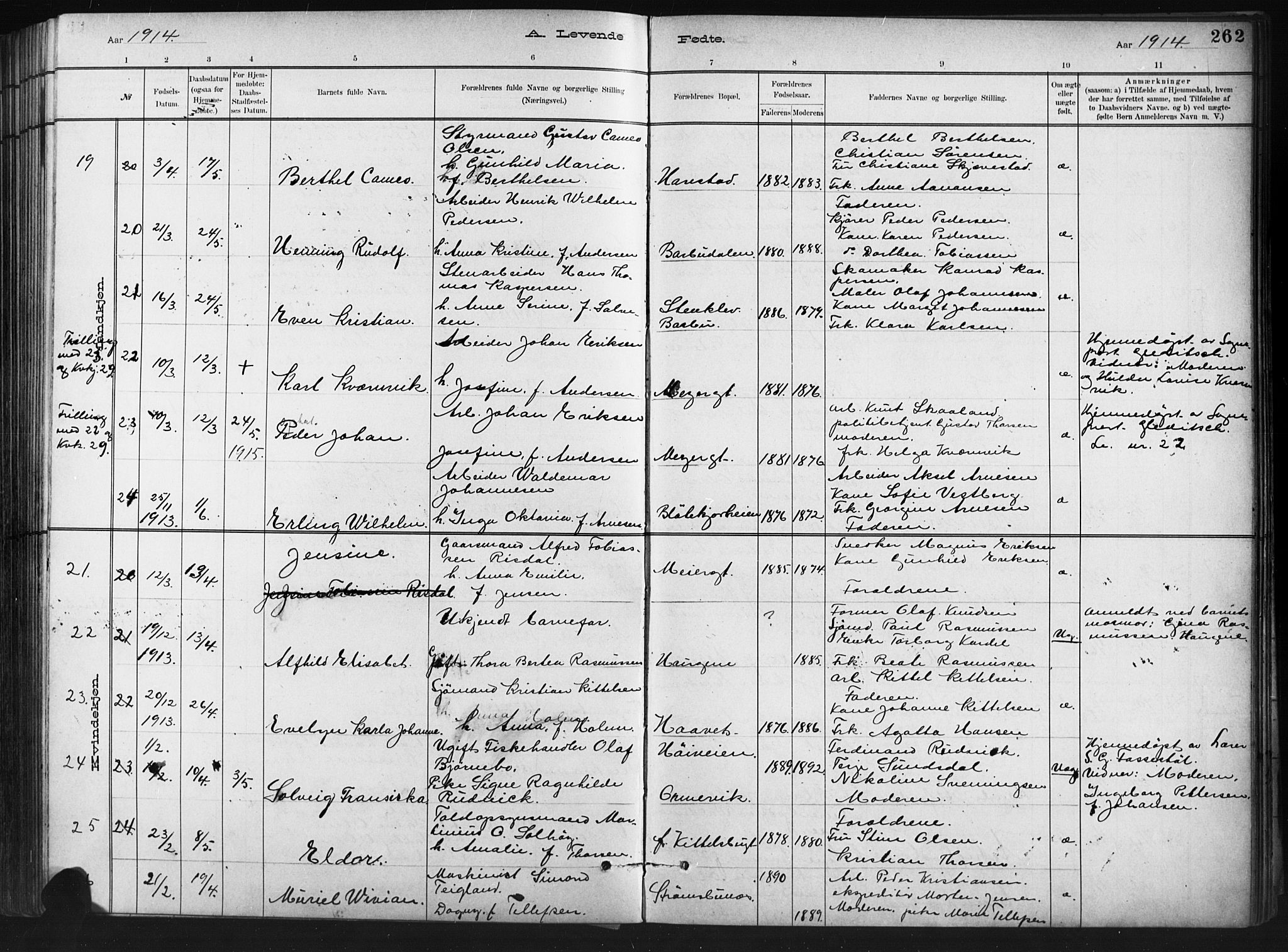 Barbu sokneprestkontor, SAK/1111-0003/F/Fb/L0002: Parish register (copy) no. B 2, 1890-1922, p. 262