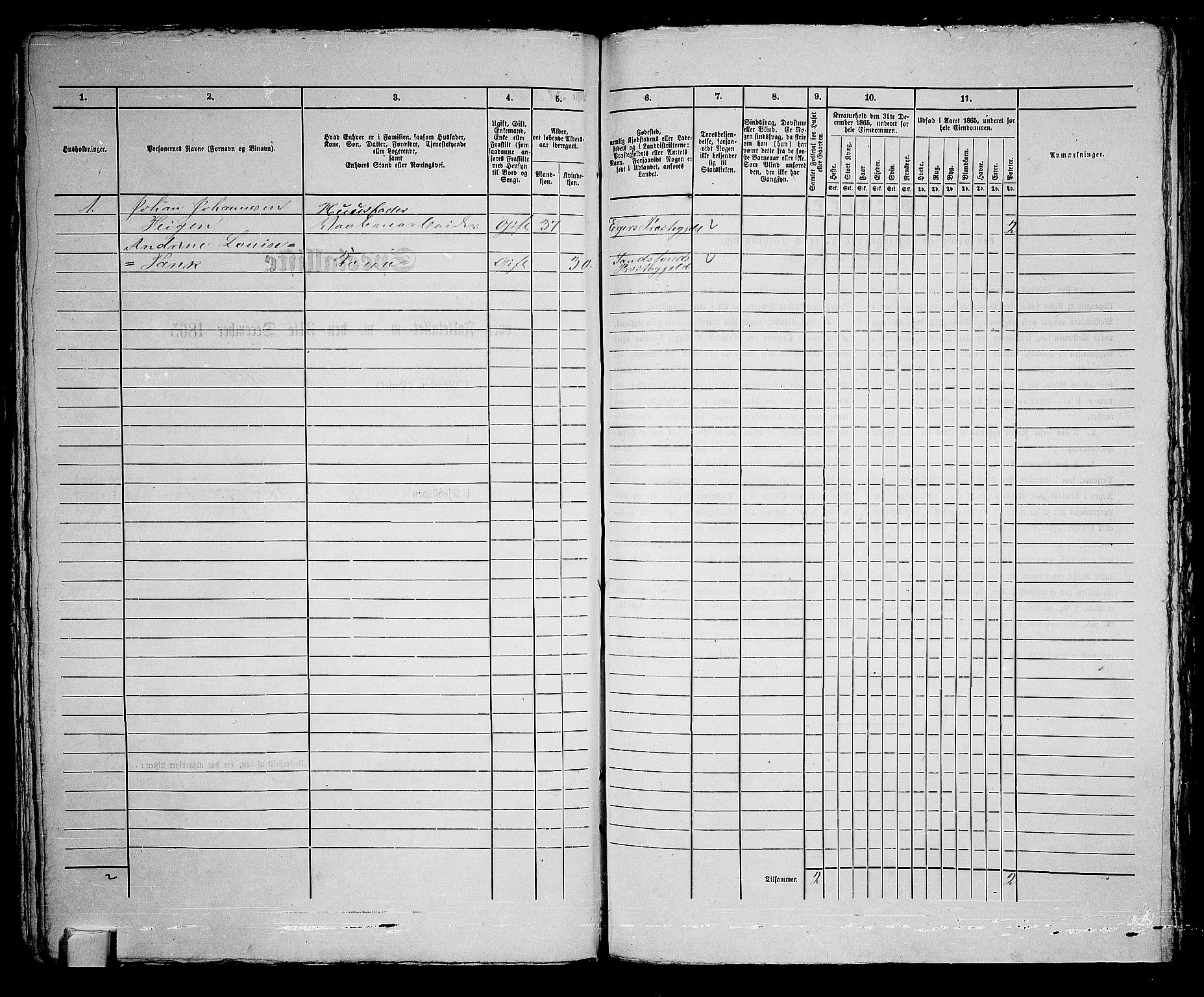 RA, 1865 census for Kongsberg/Kongsberg, 1865, p. 221