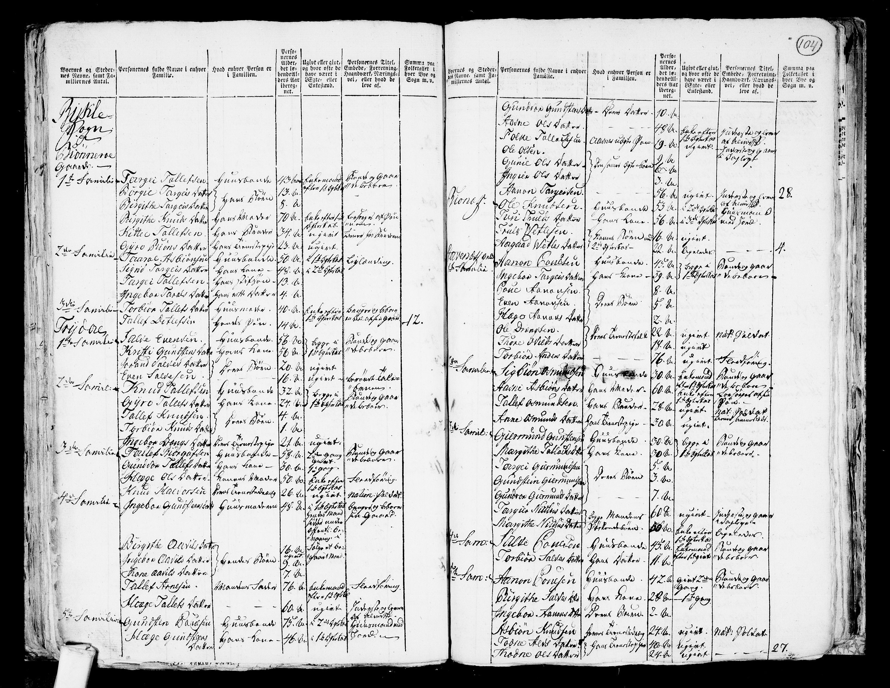 RA, 1801 census for 0940P Valle, 1801, p. 103b-104a