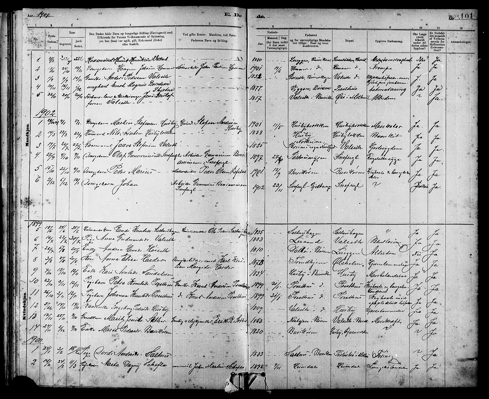 Ministerialprotokoller, klokkerbøker og fødselsregistre - Sør-Trøndelag, SAT/A-1456/666/L0790: Parish register (copy) no. 666C03, 1885-1908, p. 101