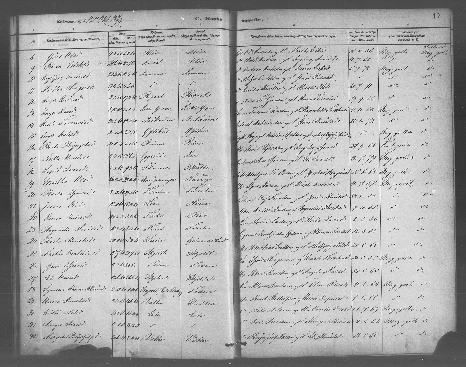Voss sokneprestembete, SAB/A-79001/H/Haa: Parish register (official) no. B 1, 1877-1899, p. 17