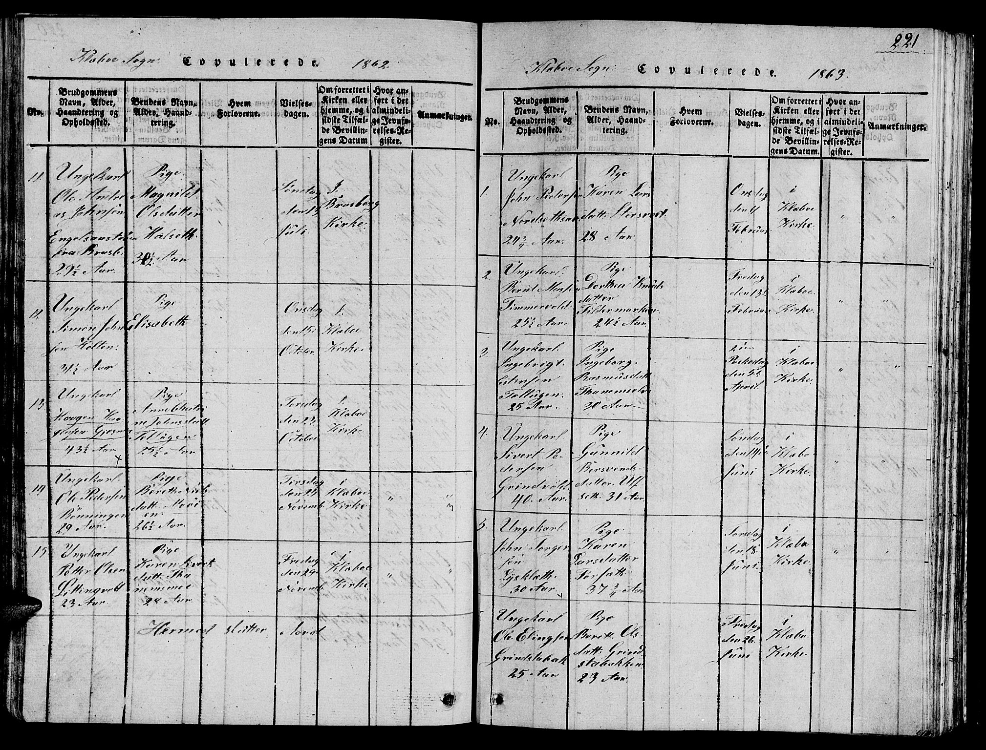 Ministerialprotokoller, klokkerbøker og fødselsregistre - Sør-Trøndelag, SAT/A-1456/618/L0450: Parish register (copy) no. 618C01, 1816-1865, p. 221