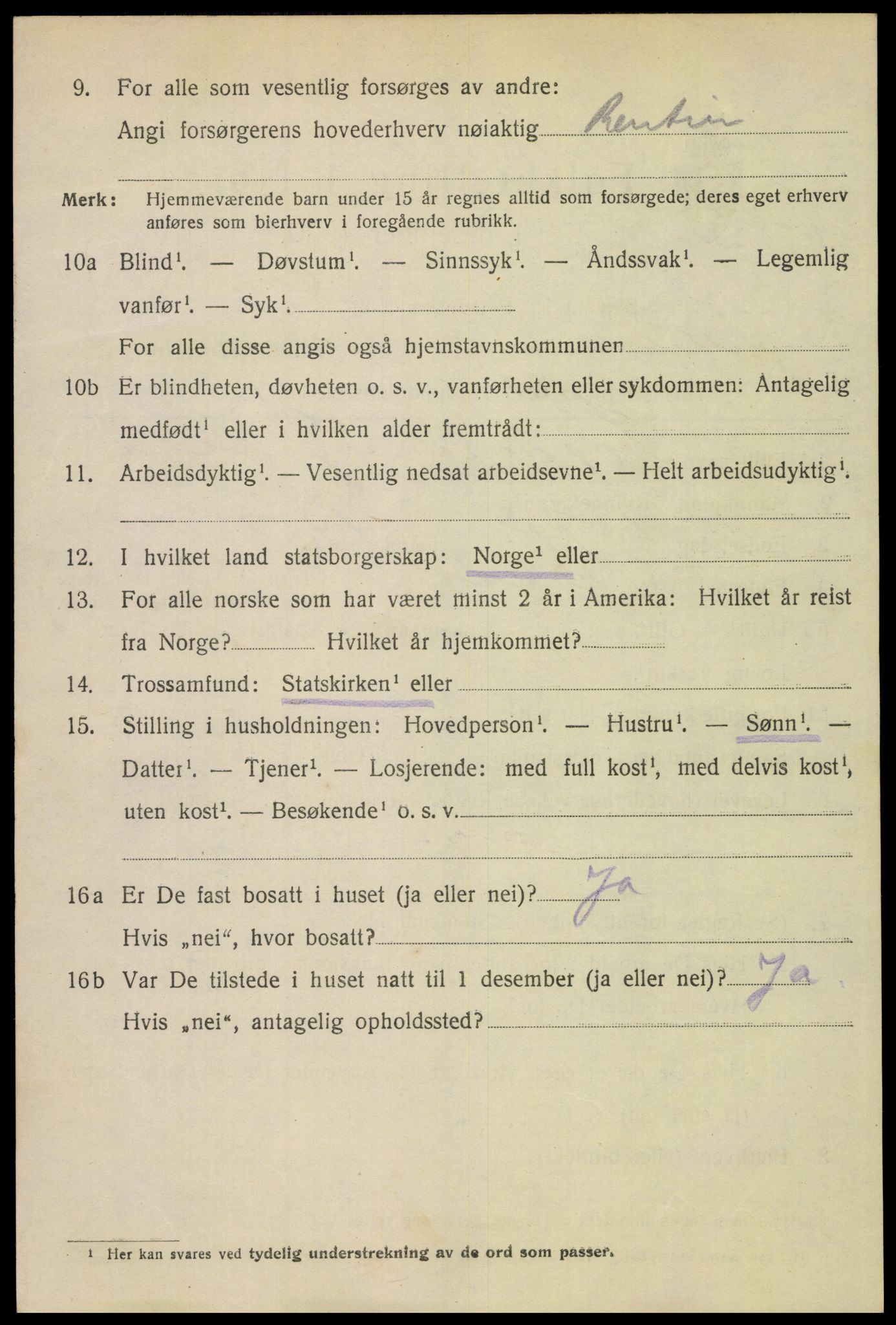 SAH, 1920 census for Lillehammer, 1920, p. 12517