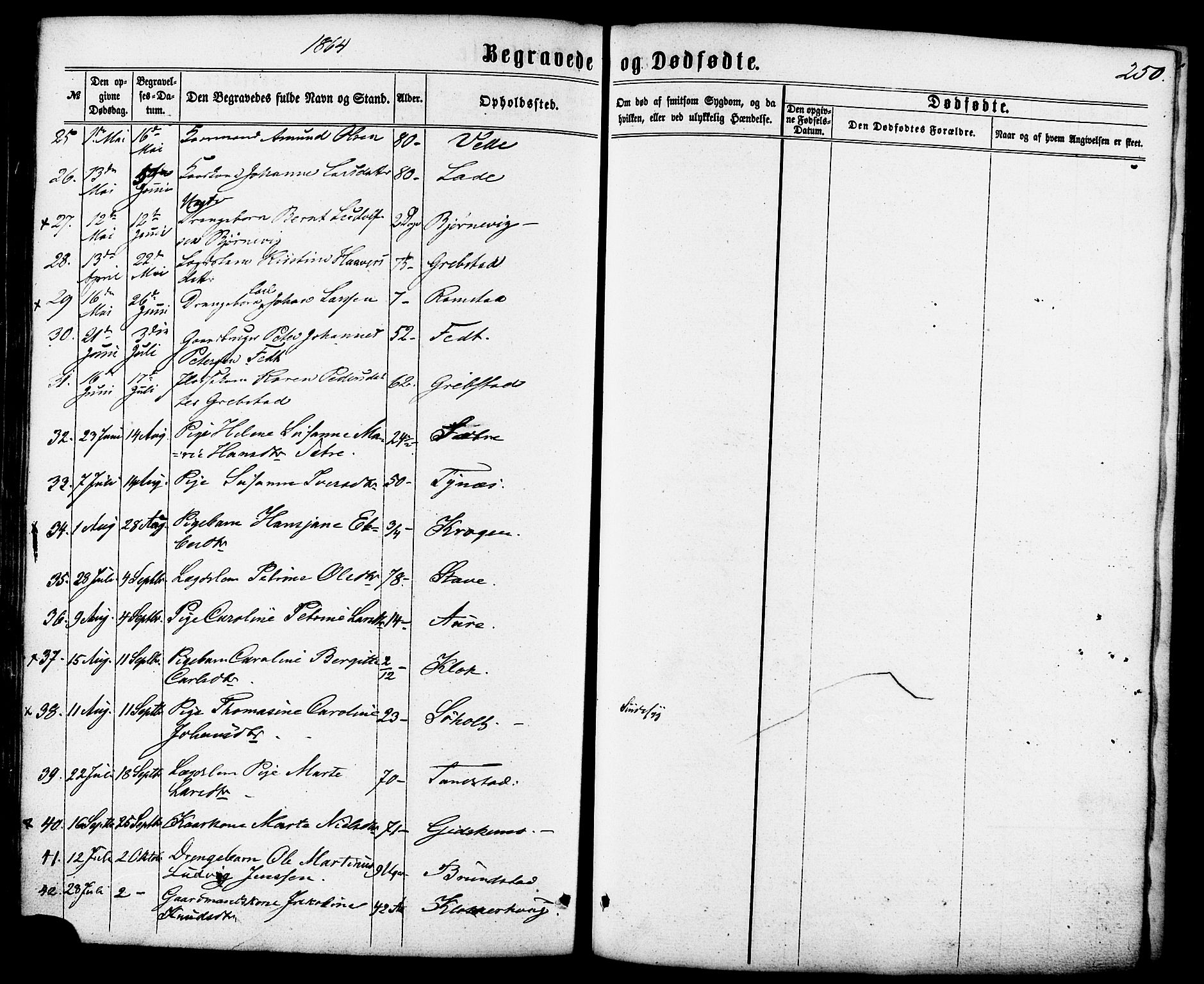 Ministerialprotokoller, klokkerbøker og fødselsregistre - Møre og Romsdal, AV/SAT-A-1454/522/L0314: Parish register (official) no. 522A09, 1863-1877, p. 250