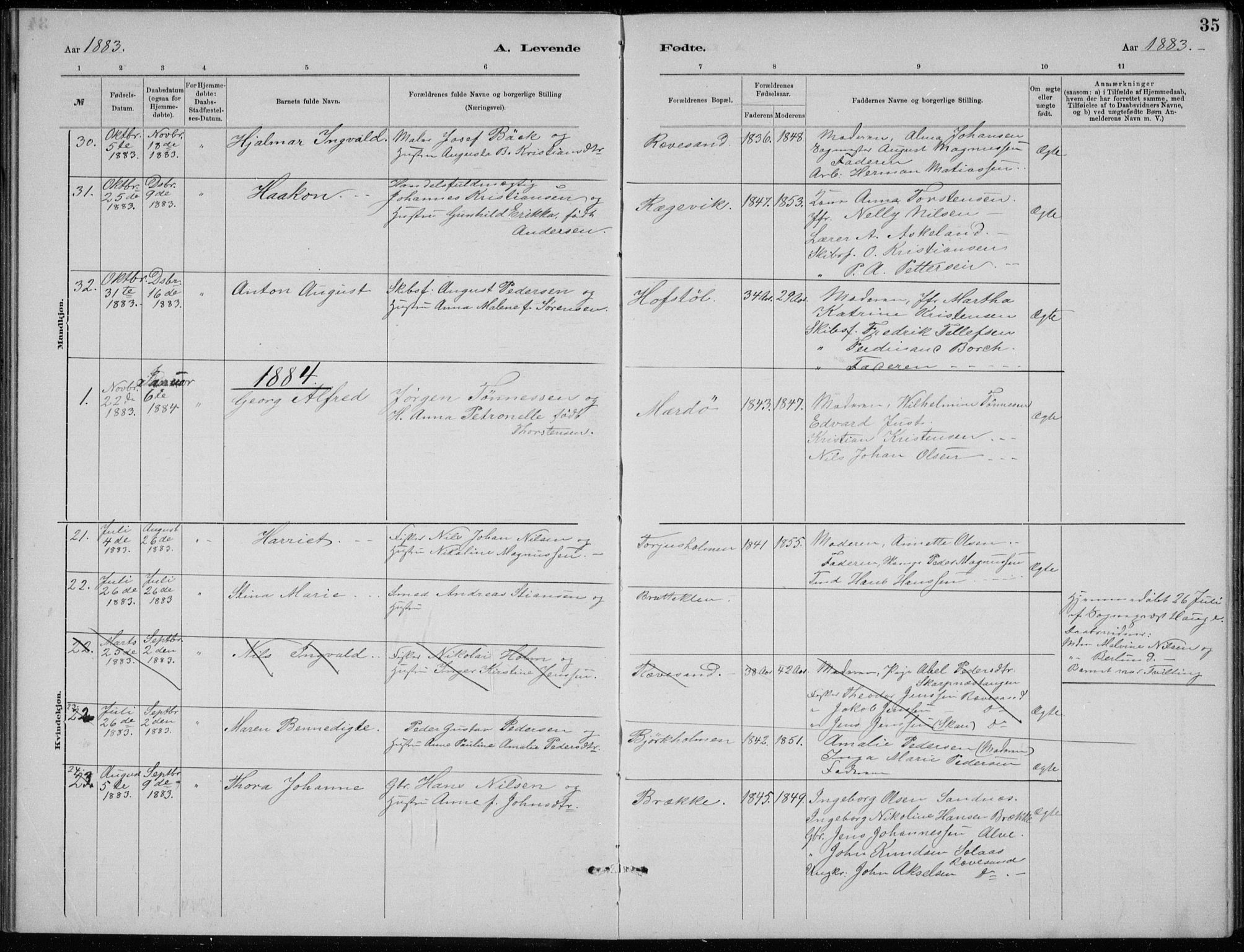 Tromøy sokneprestkontor, SAK/1111-0041/F/Fb/L0005: Parish register (copy) no. B 5, 1877-1891, p. 35