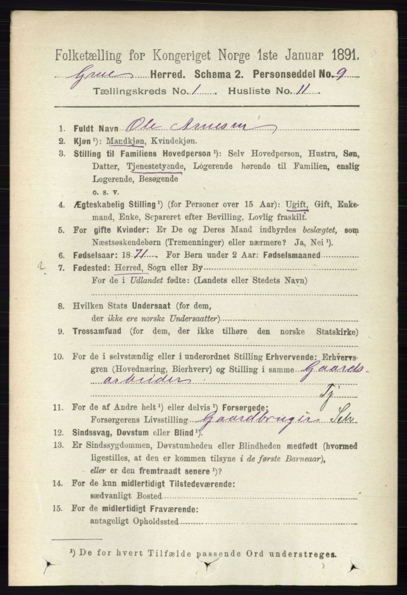 RA, 1891 census for 0423 Grue, 1891, p. 260