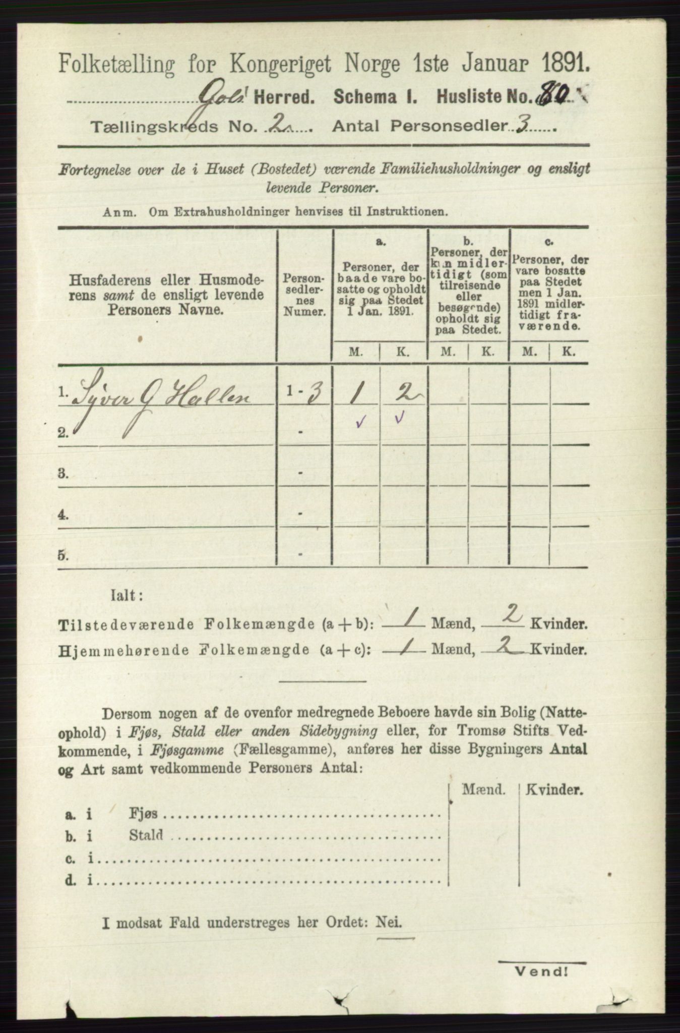 RA, 1891 census for 0617 Gol og Hemsedal, 1891, p. 705