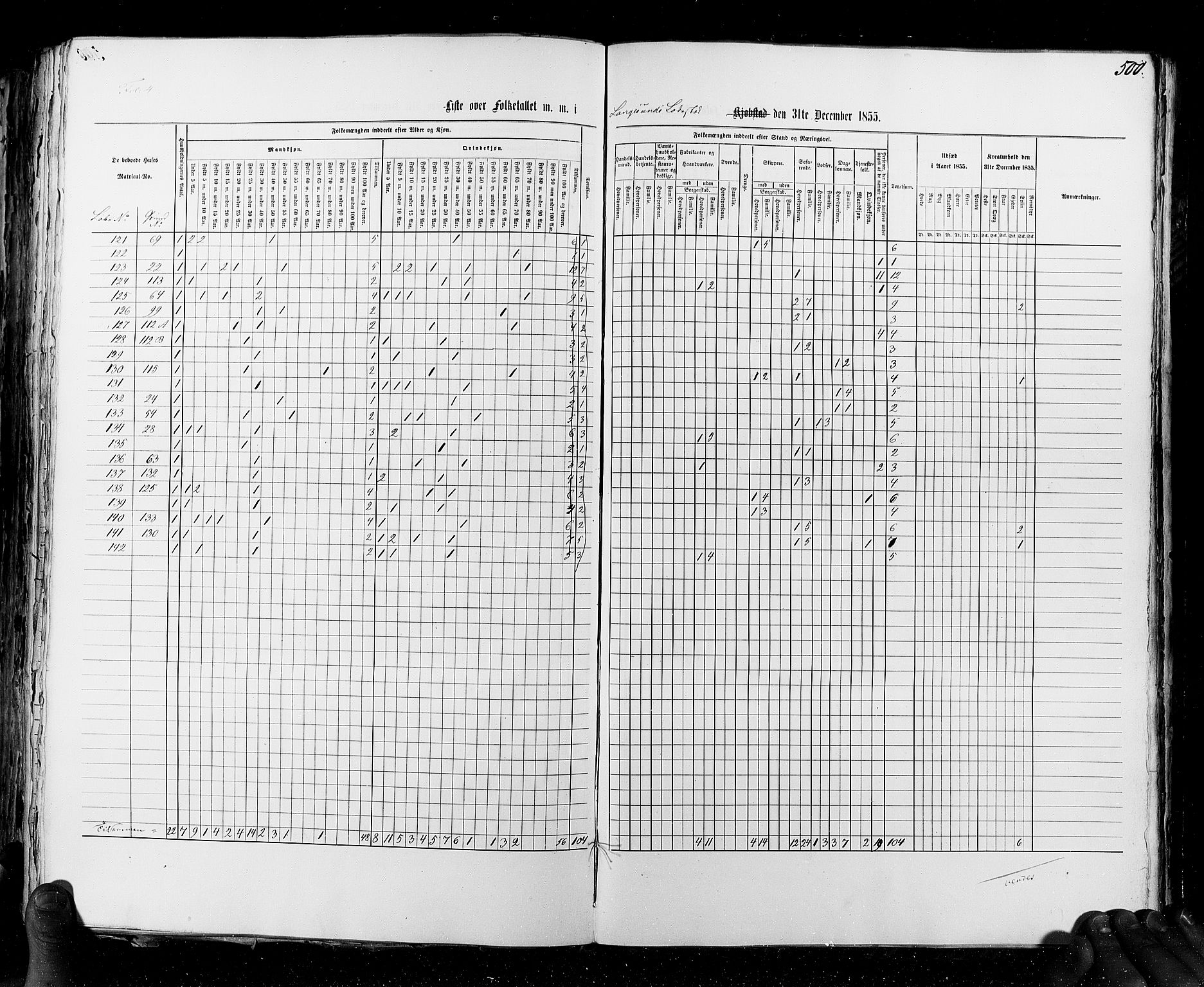 RA, Census 1855, vol. 7: Fredrikshald-Kragerø, 1855, p. 500