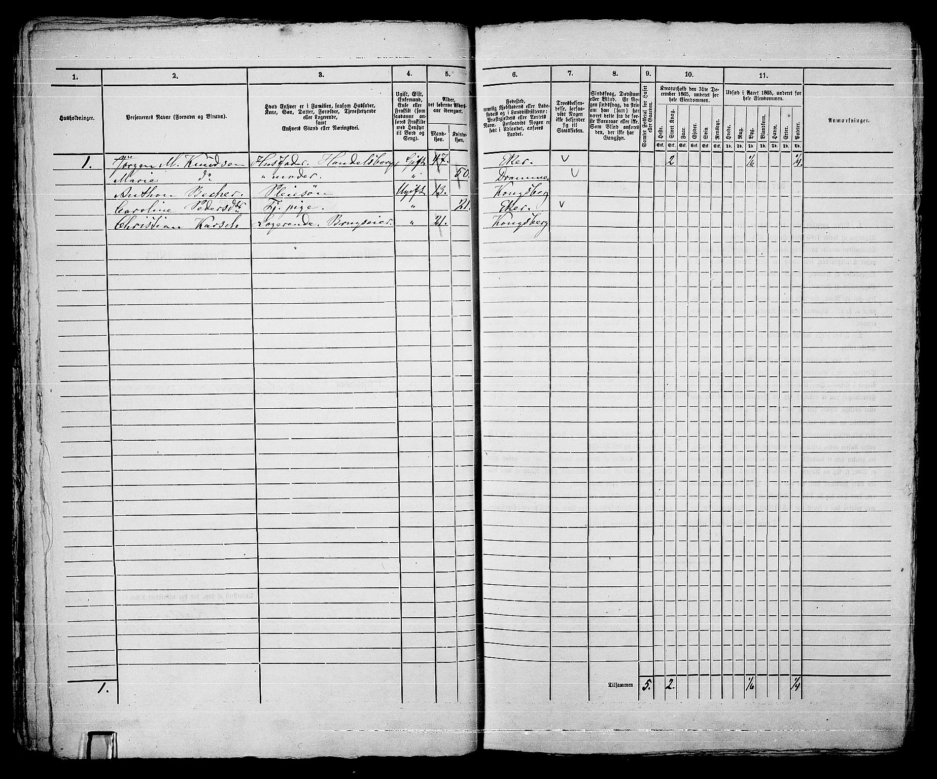 RA, 1865 census for Kongsberg/Kongsberg, 1865, p. 555