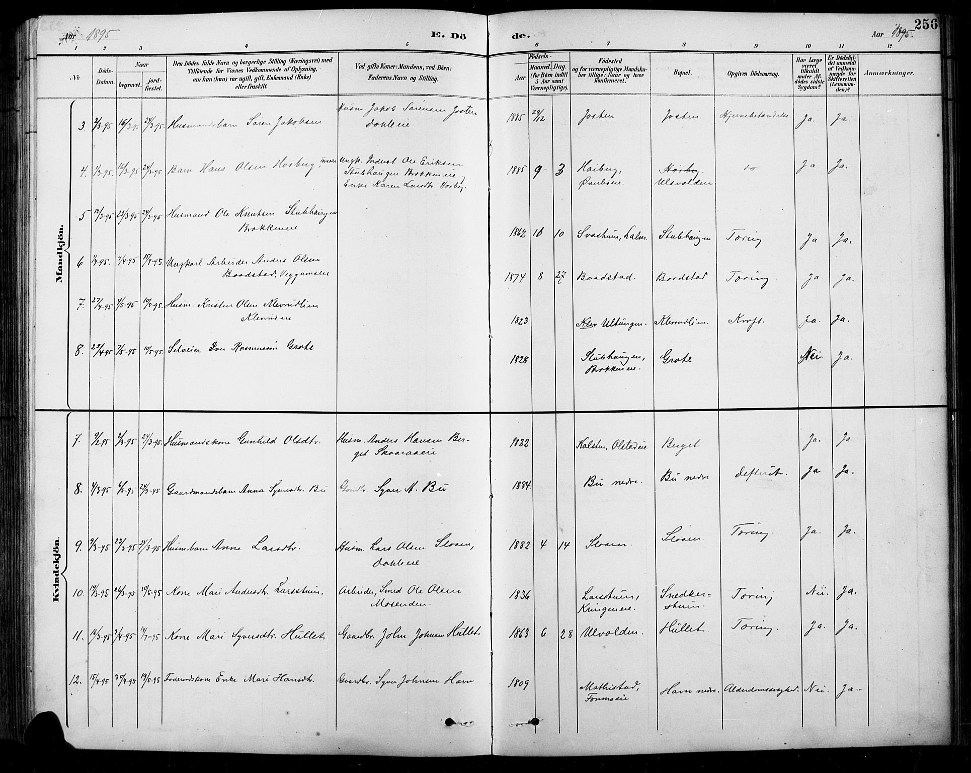 Sel prestekontor, SAH/PREST-074/H/Ha/Hab/L0001: Parish register (copy) no. 1, 1894-1923, p. 256