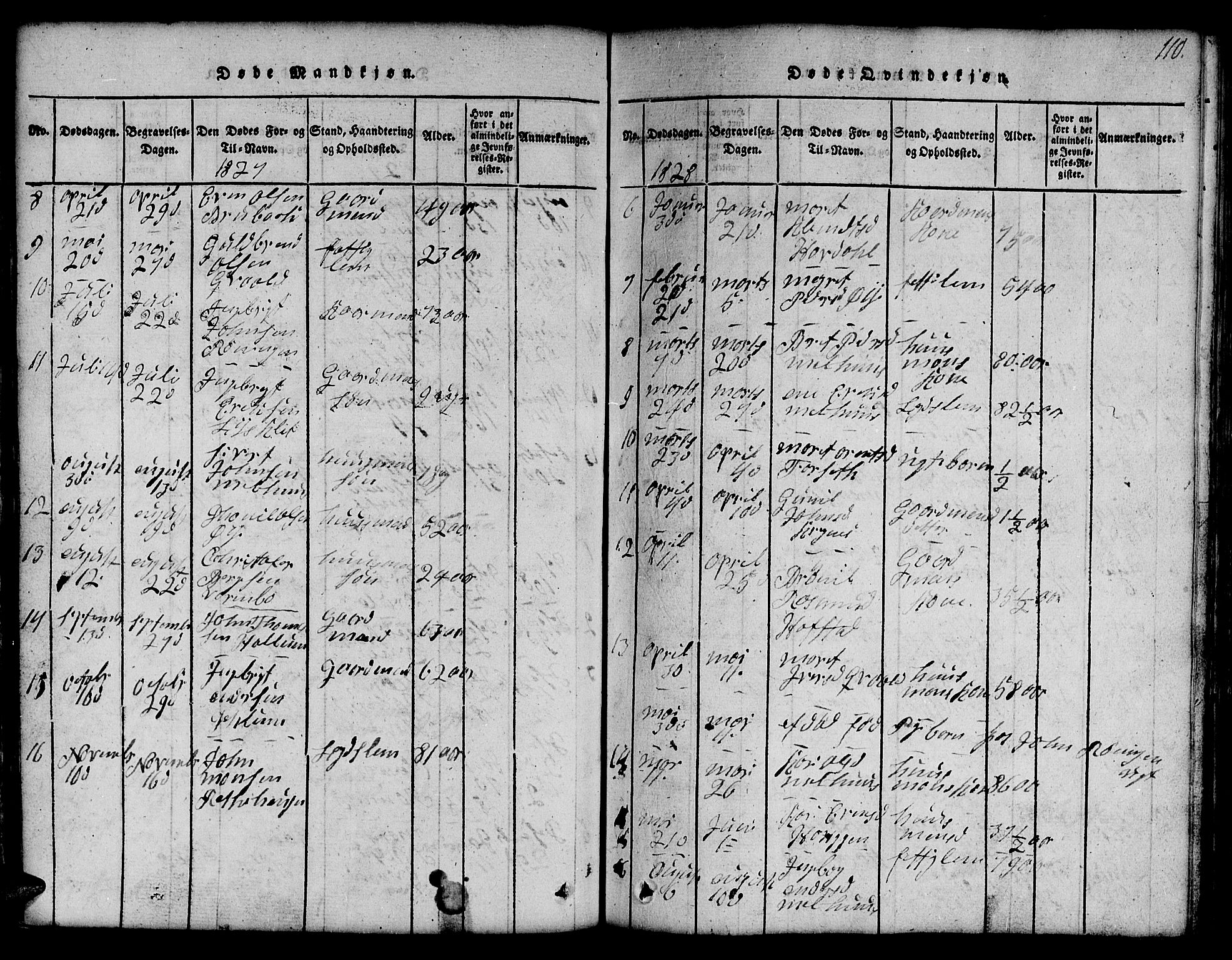 Ministerialprotokoller, klokkerbøker og fødselsregistre - Sør-Trøndelag, SAT/A-1456/691/L1092: Parish register (copy) no. 691C03, 1816-1852, p. 110