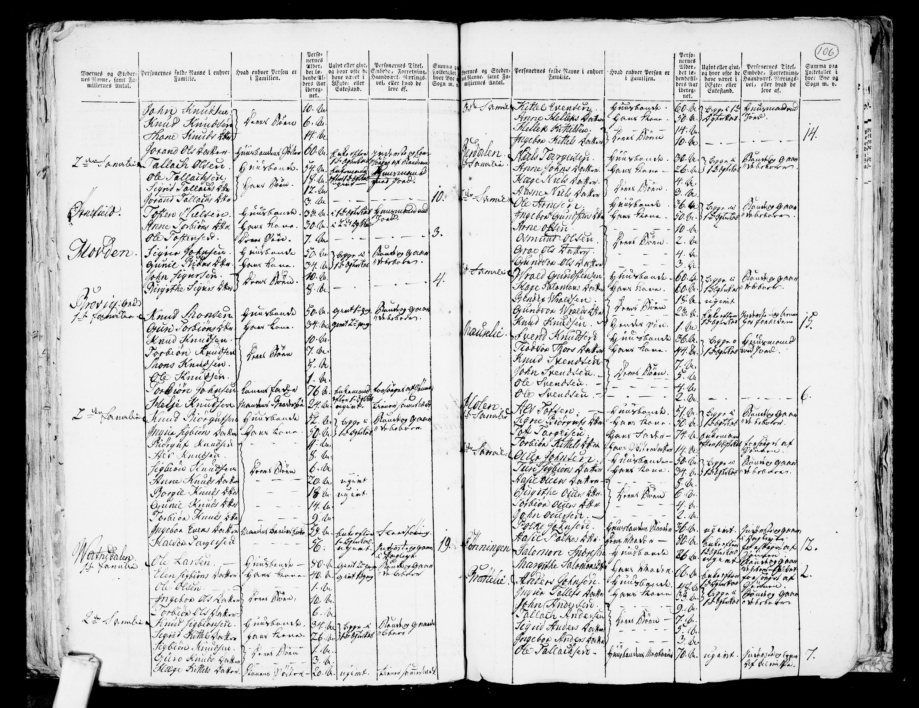 RA, 1801 census for 0940P Valle, 1801, p. 105b-106a