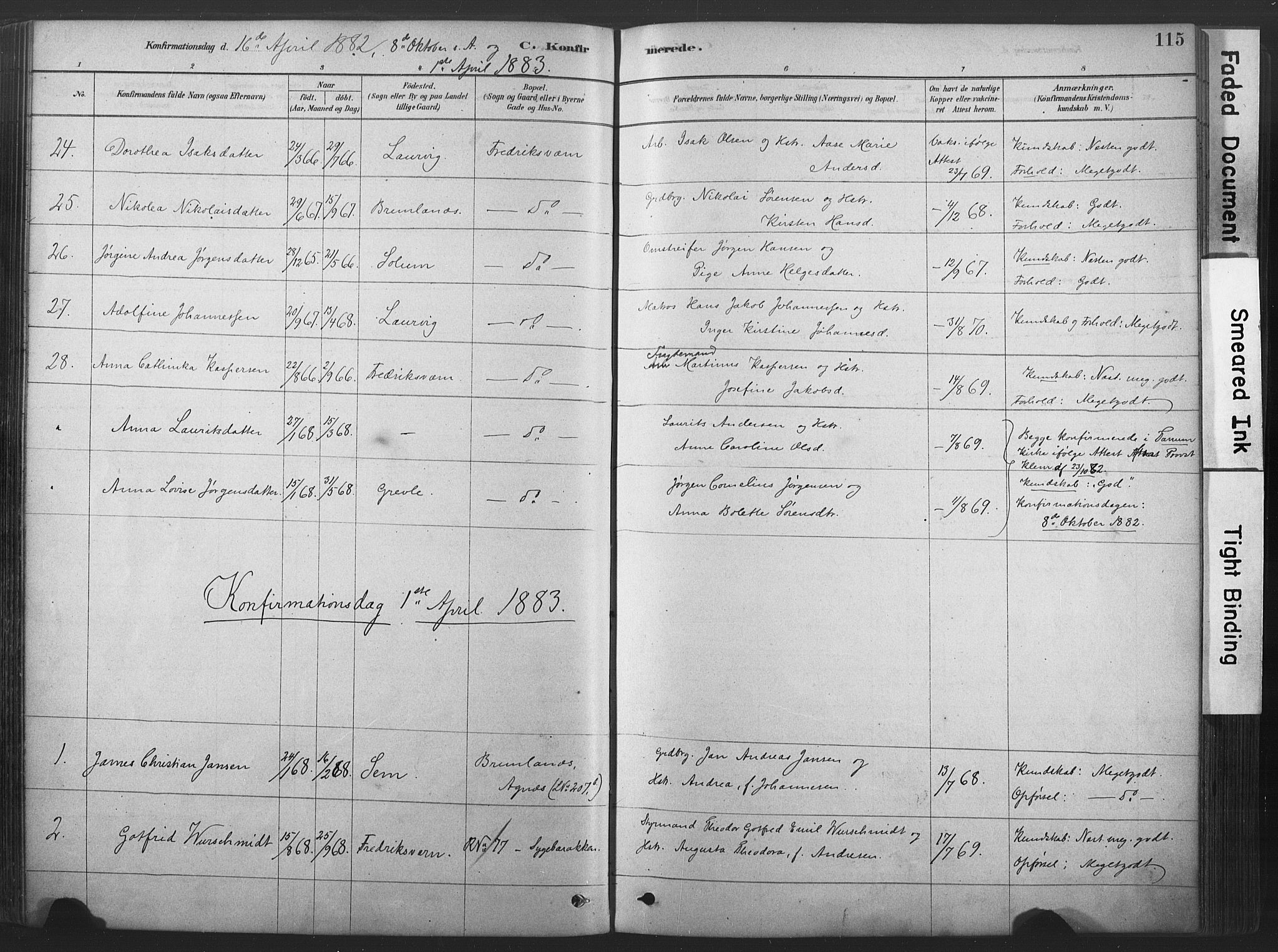 Stavern kirkebøker, SAKO/A-318/F/Fa/L0008: Parish register (official) no. 8, 1878-1905, p. 115