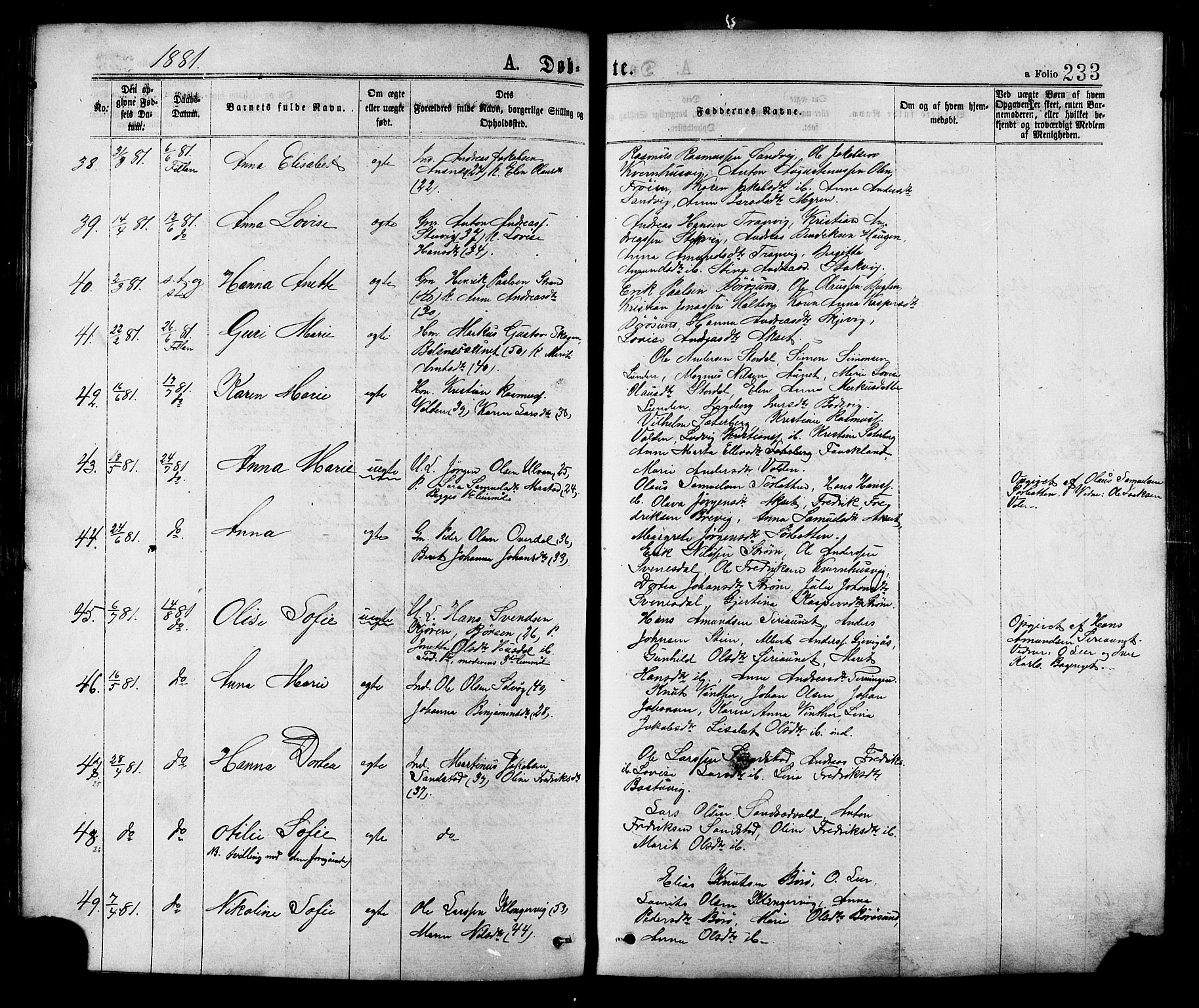 Ministerialprotokoller, klokkerbøker og fødselsregistre - Sør-Trøndelag, AV/SAT-A-1456/634/L0532: Parish register (official) no. 634A08, 1871-1881, p. 233