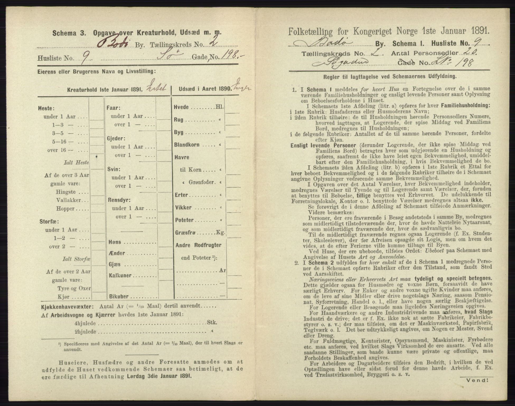 RA, 1891 census for 1804 Bodø, 1891, p. 866