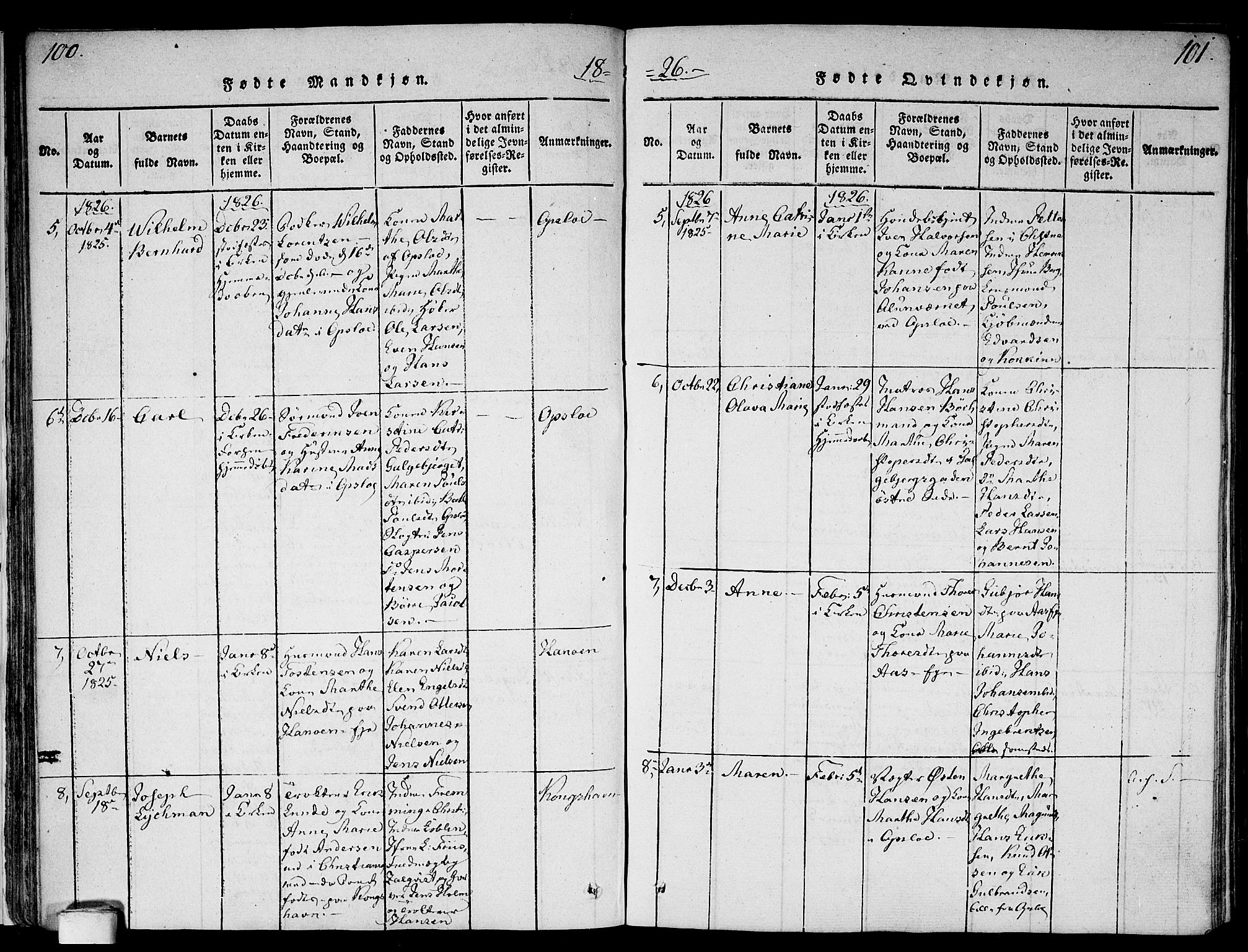 Gamlebyen prestekontor Kirkebøker, AV/SAO-A-10884/F/Fa/L0002: Parish register (official) no. 2, 1817-1829, p. 100-101