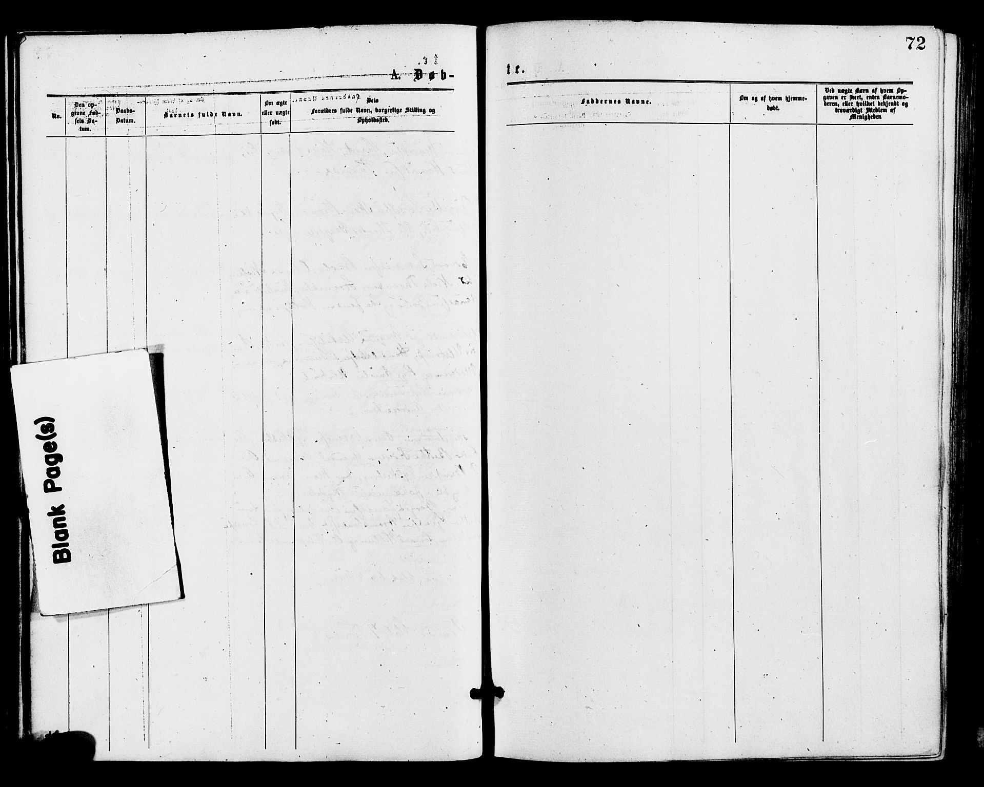 Barbu sokneprestkontor, AV/SAK-1111-0003/F/Fa/L0001: Parish register (official) no. A 1 /1, 1878-1883, p. 72