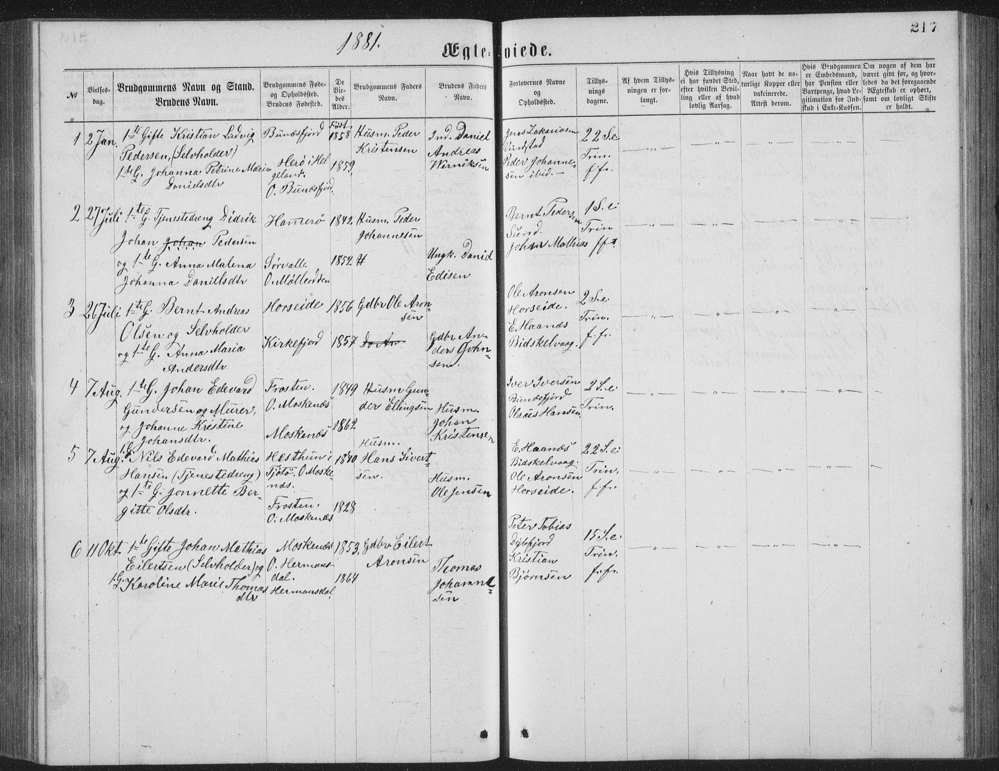 Ministerialprotokoller, klokkerbøker og fødselsregistre - Nordland, AV/SAT-A-1459/886/L1225: Parish register (copy) no. 886C02, 1874-1896, p. 217