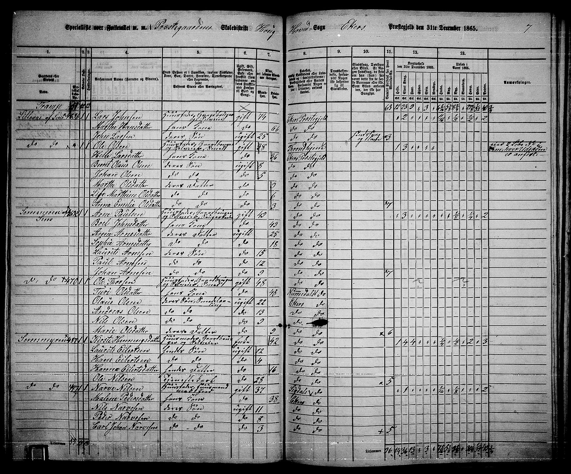 RA, 1865 census for Eiker, 1865, p. 192