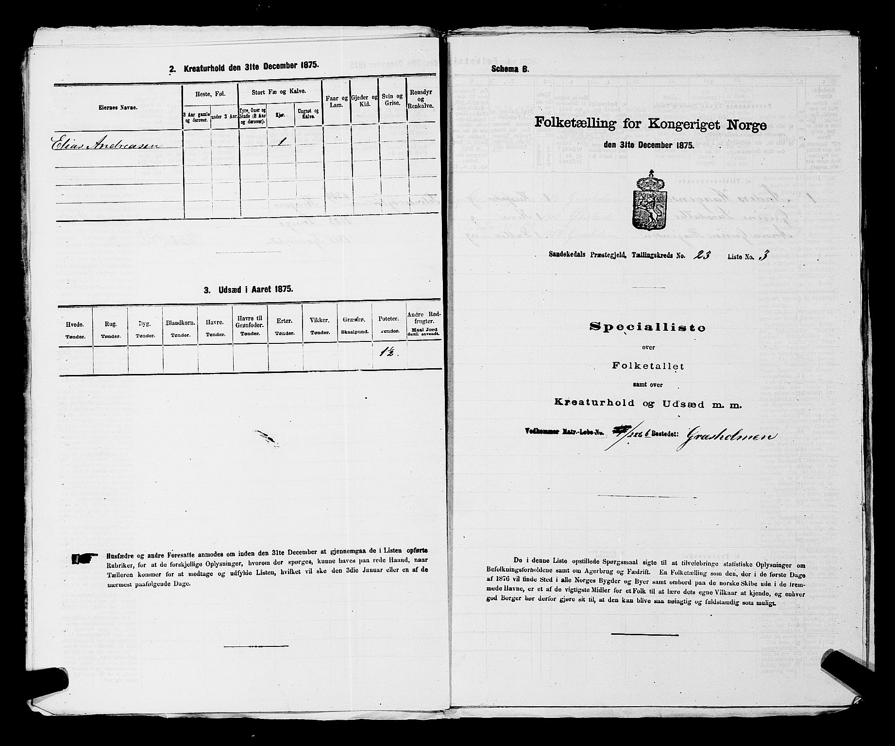 SAKO, 1875 census for 0816P Sannidal, 1875, p. 1831