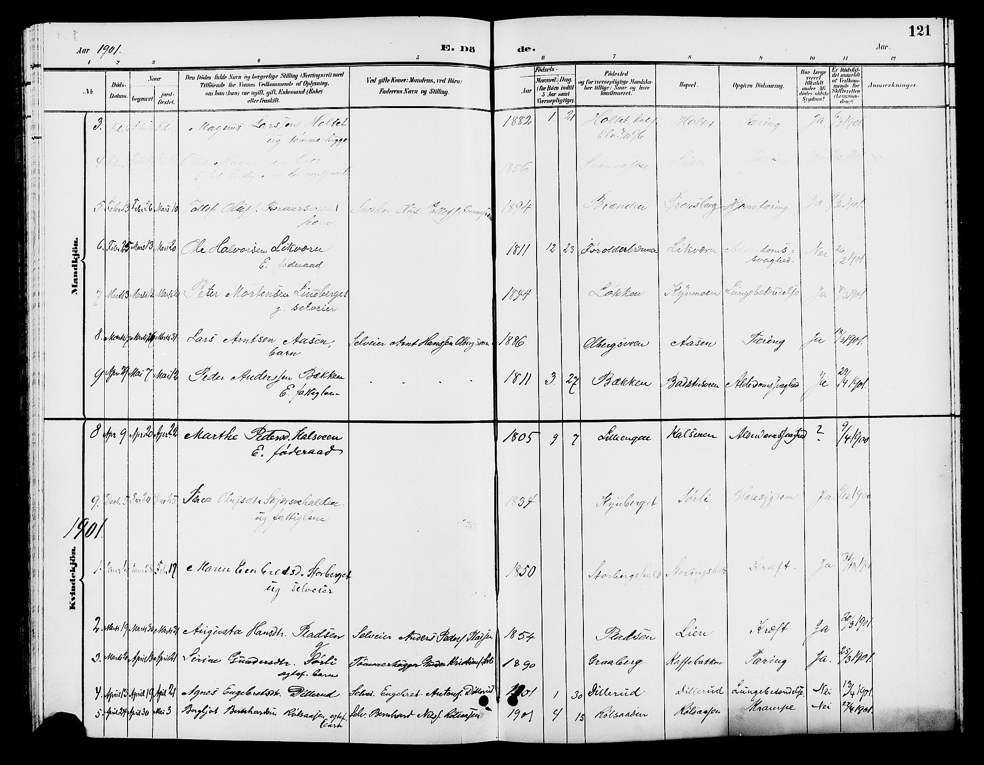 Elverum prestekontor, AV/SAH-PREST-044/H/Ha/Hab/L0006: Parish register (copy) no. 6, 1896-1907, p. 121