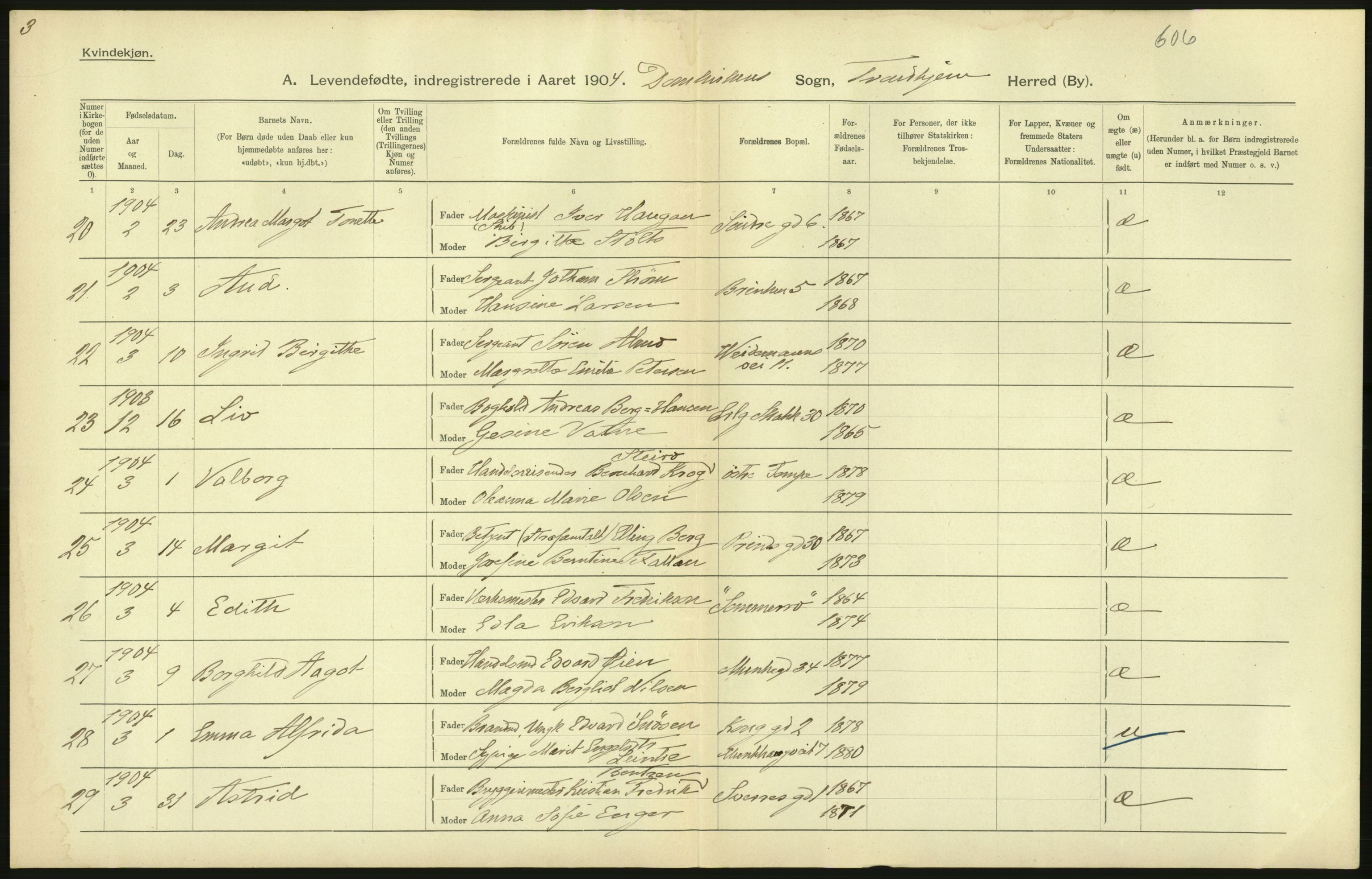 Statistisk sentralbyrå, Sosiodemografiske emner, Befolkning, AV/RA-S-2228/D/Df/Dfa/Dfab/L0018: Trondhjem: Fødte, gifte, døde., 1904, p. 186