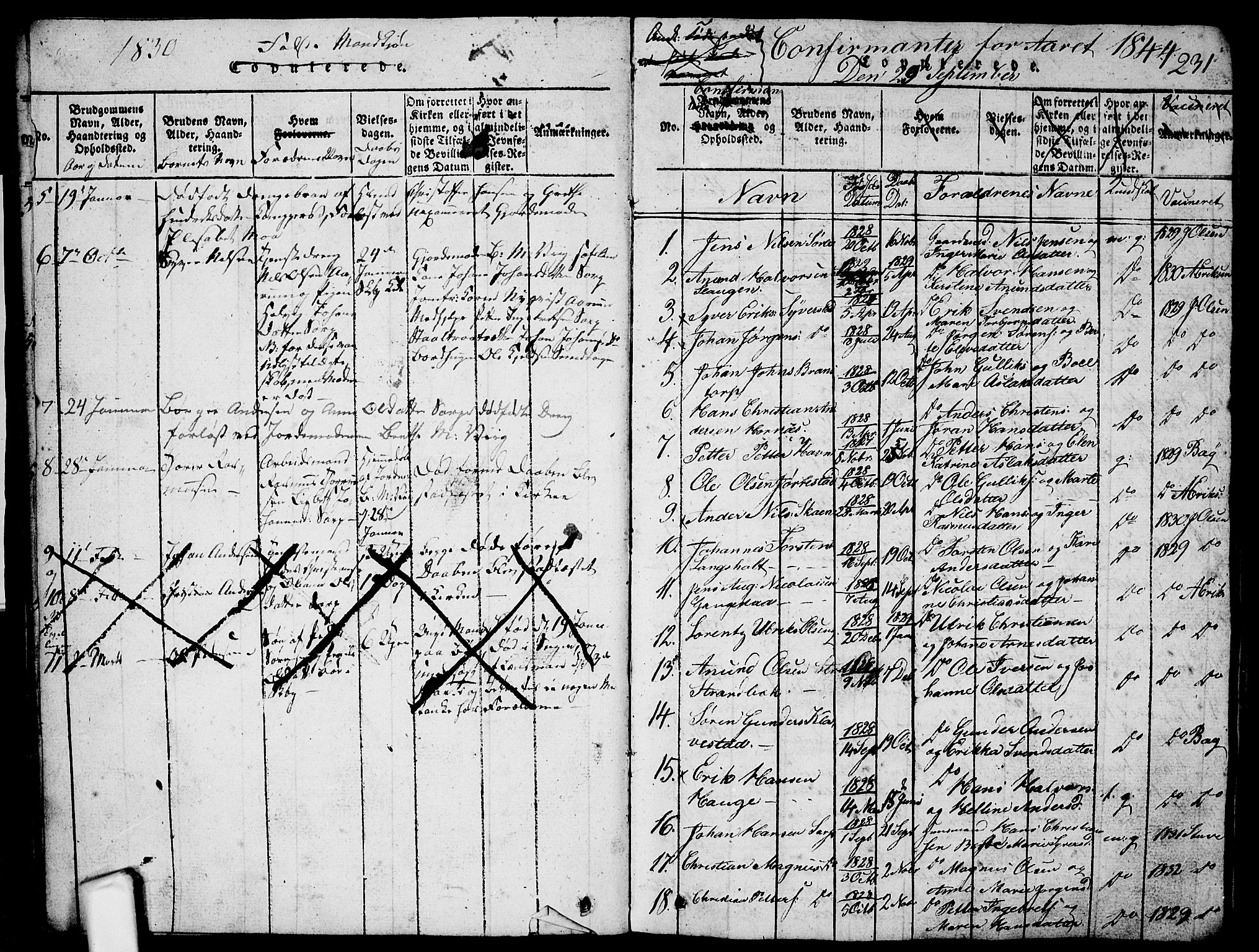 Skjeberg prestekontor Kirkebøker, AV/SAO-A-10923/G/Ga/L0001: Parish register (copy) no. I 1, 1815-1830, p. 231