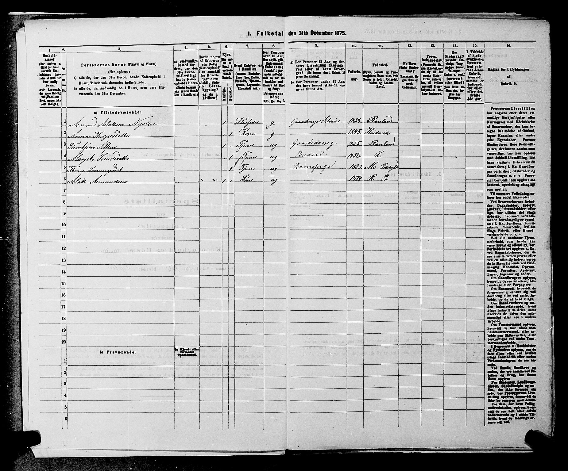 SAKO, 1875 census for 0835P Rauland, 1875, p. 30