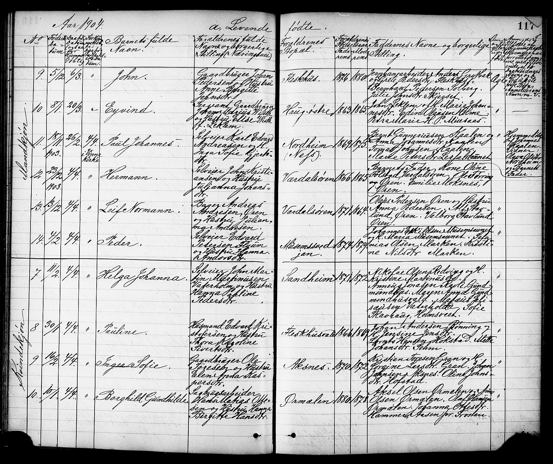 Ministerialprotokoller, klokkerbøker og fødselsregistre - Nord-Trøndelag, AV/SAT-A-1458/723/L0257: Parish register (copy) no. 723C05, 1890-1907, p. 117