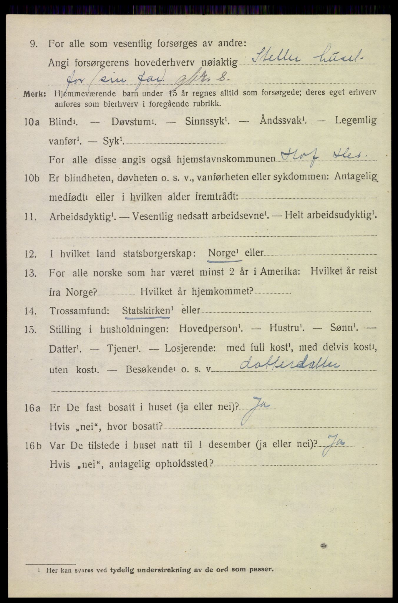 SAH, 1920 census for Hof, 1920, p. 2918