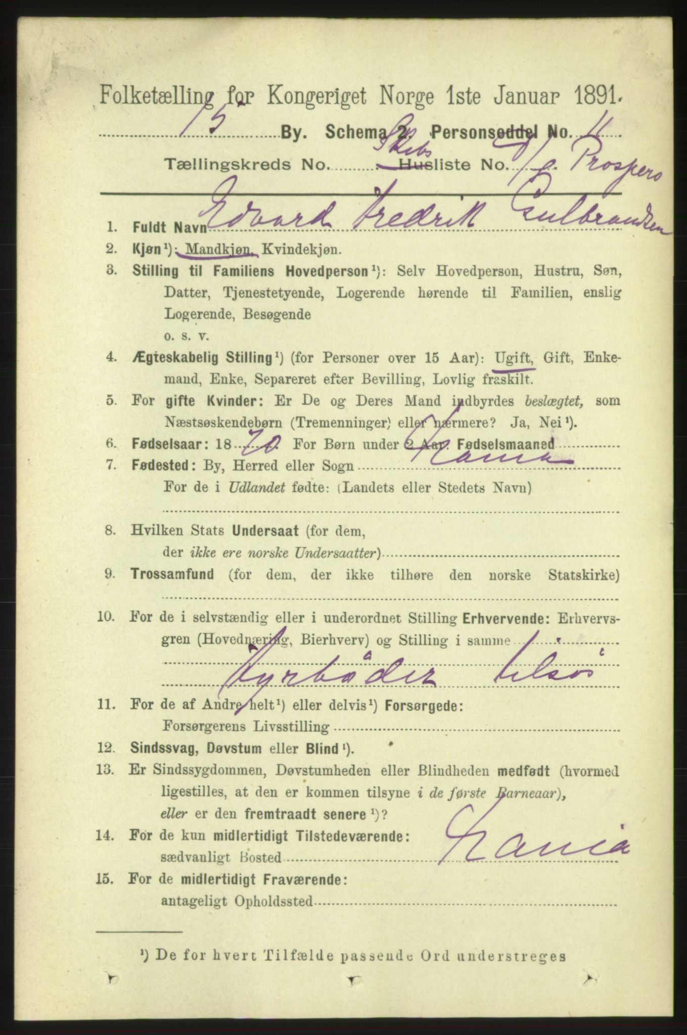 RA, 1891 census for 0602 Drammen, 1891, p. 25617