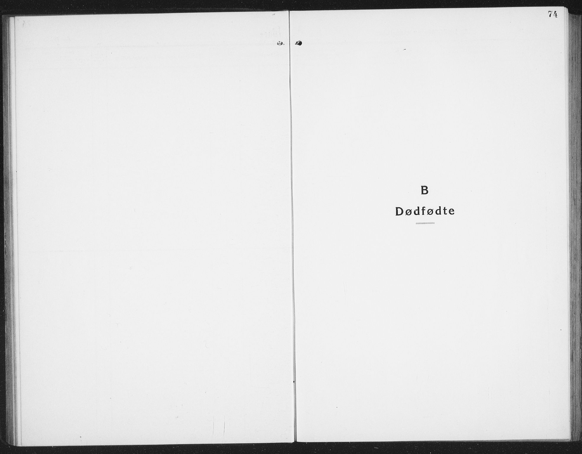 Ministerialprotokoller, klokkerbøker og fødselsregistre - Nordland, SAT/A-1459/855/L0817: Parish register (copy) no. 855C06, 1917-1934, p. 74