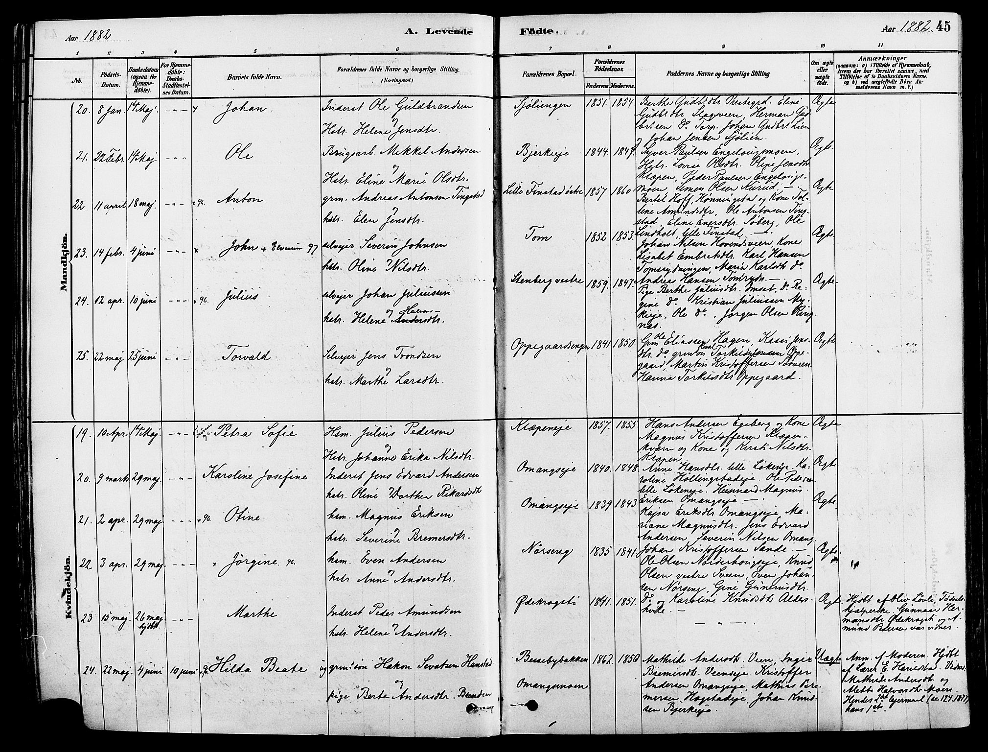 Løten prestekontor, SAH/PREST-022/K/Ka/L0009: Parish register (official) no. 9, 1878-1891, p. 45