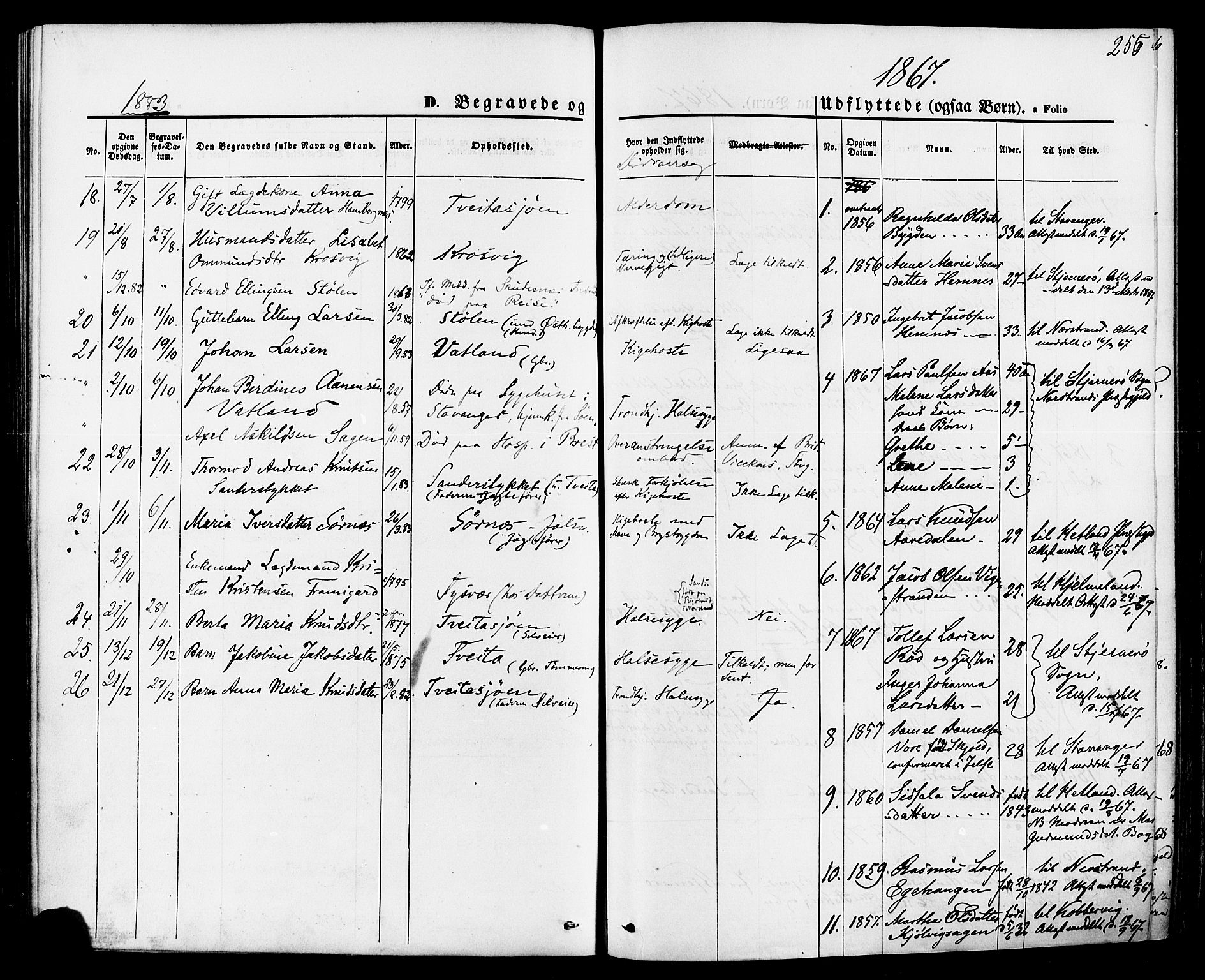 Jelsa sokneprestkontor, SAST/A-101842/01/IV: Parish register (official) no. A 8, 1867-1883, p. 255
