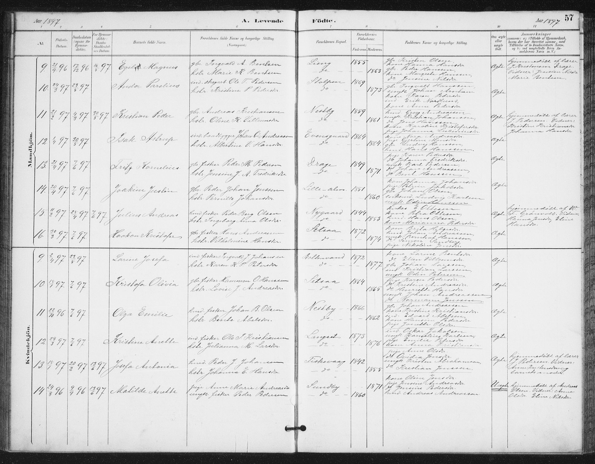 Ministerialprotokoller, klokkerbøker og fødselsregistre - Nordland, AV/SAT-A-1459/847/L0682: Parish register (copy) no. 847C10, 1889-1907, p. 57