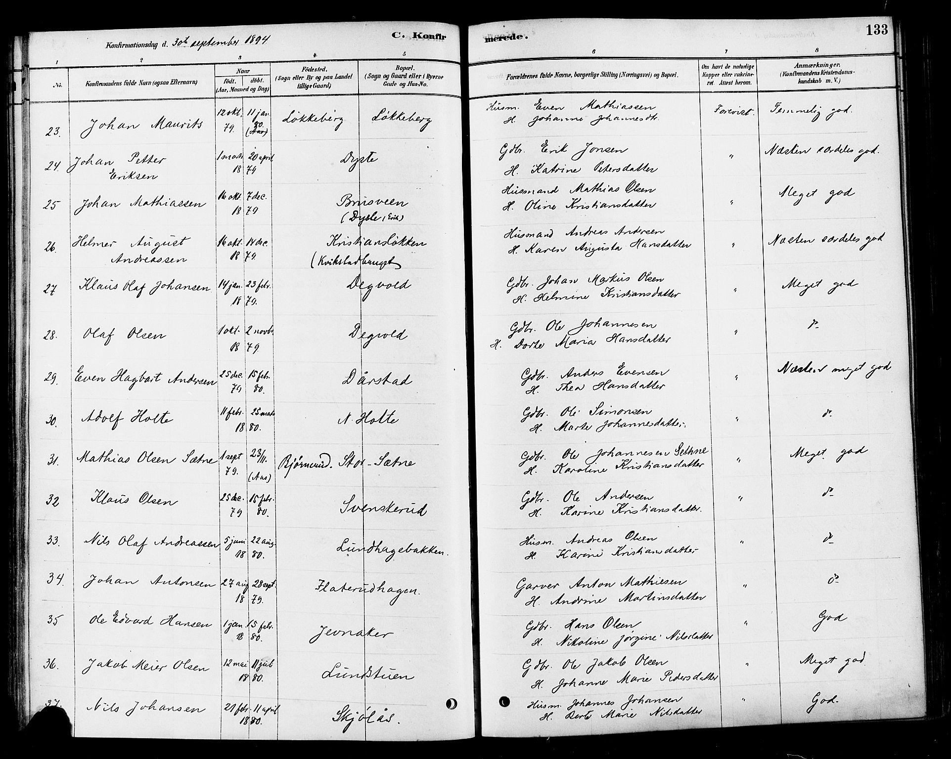 Vestre Toten prestekontor, AV/SAH-PREST-108/H/Ha/Haa/L0010: Parish register (official) no. 10, 1878-1894, p. 133