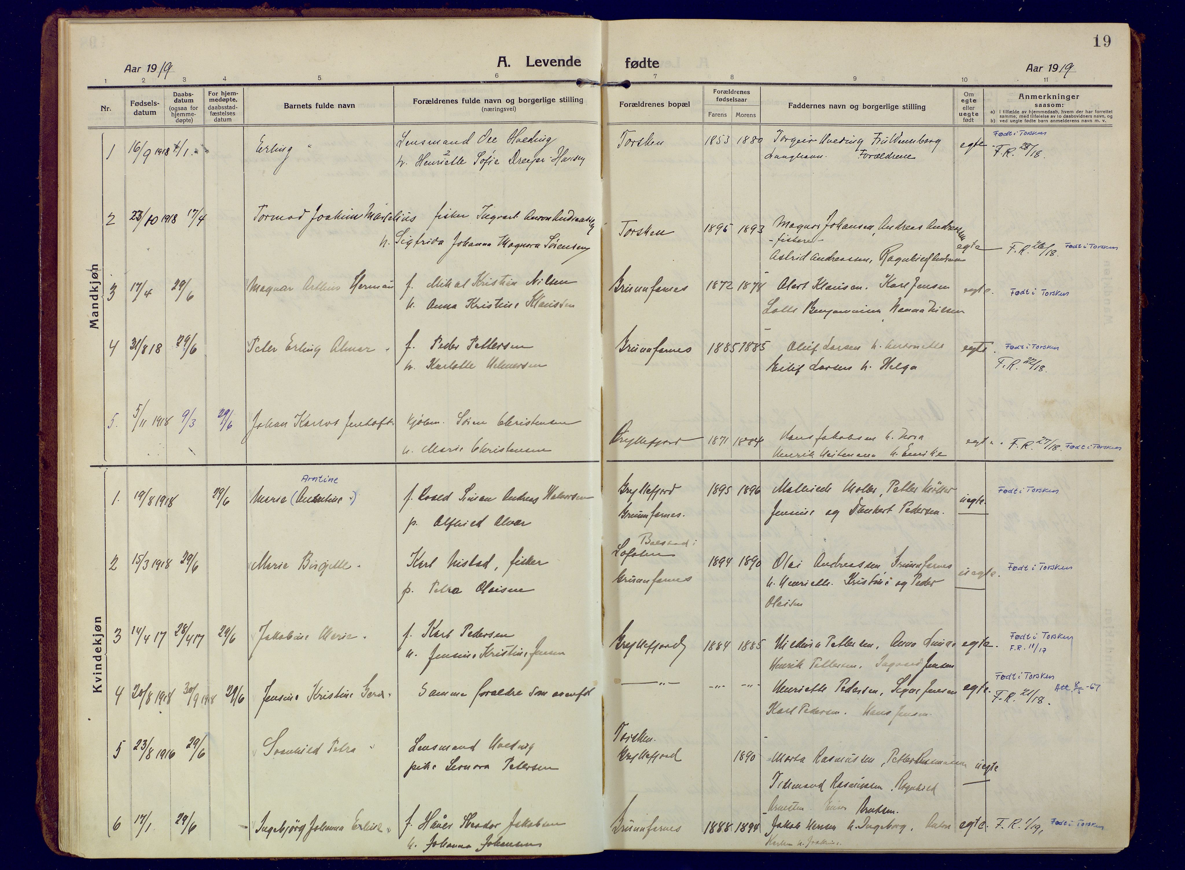 Berg sokneprestkontor, SATØ/S-1318/G/Ga/Gaa: Parish register (official) no. 10, 1916-1928, p. 19