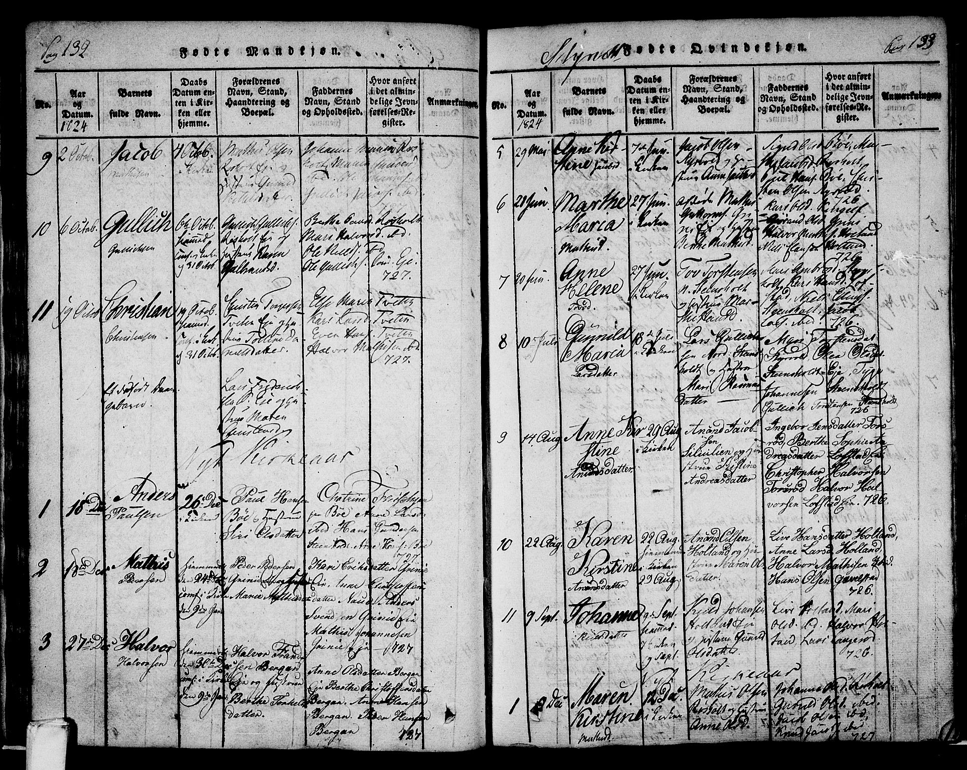 Lardal kirkebøker, AV/SAKO-A-350/F/Fa/L0005: Parish register (official) no. I 5, 1814-1835, p. 132-133