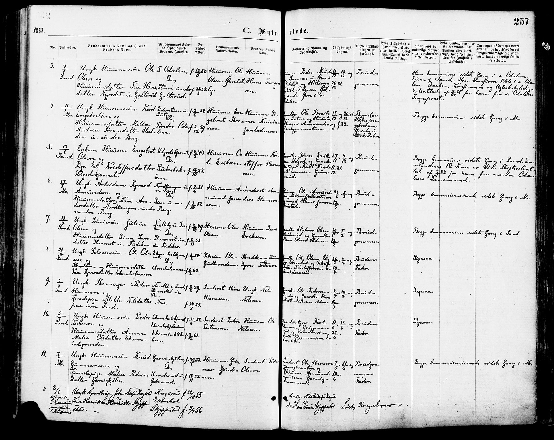 Nord-Odal prestekontor, SAH/PREST-032/H/Ha/Haa/L0005: Parish register (official) no. 5, 1874-1885, p. 257