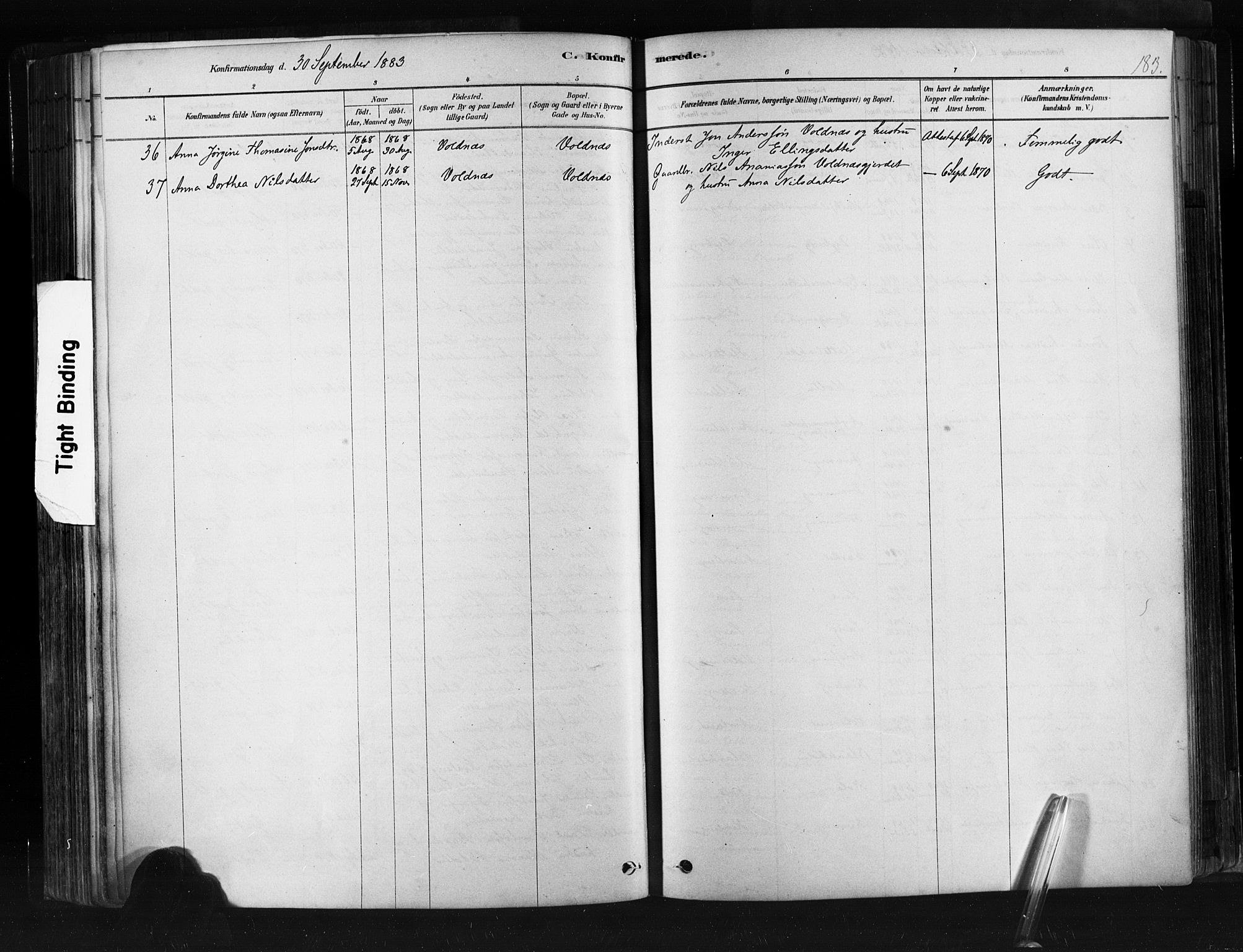 Ministerialprotokoller, klokkerbøker og fødselsregistre - Møre og Romsdal, AV/SAT-A-1454/507/L0073: Parish register (official) no. 507A08, 1878-1904, p. 183