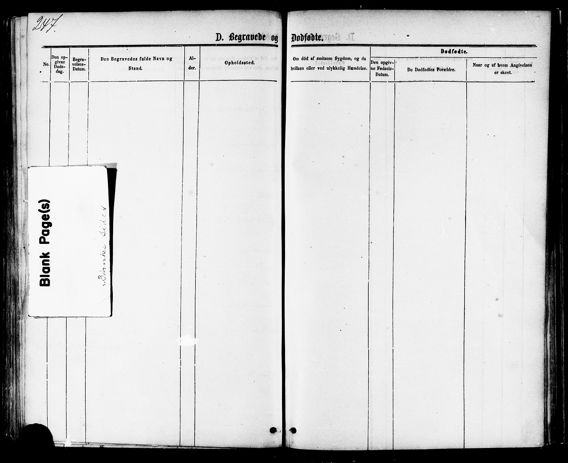 Ministerialprotokoller, klokkerbøker og fødselsregistre - Møre og Romsdal, AV/SAT-A-1454/581/L0938: Parish register (official) no. 581A06, 1873-1879, p. 247