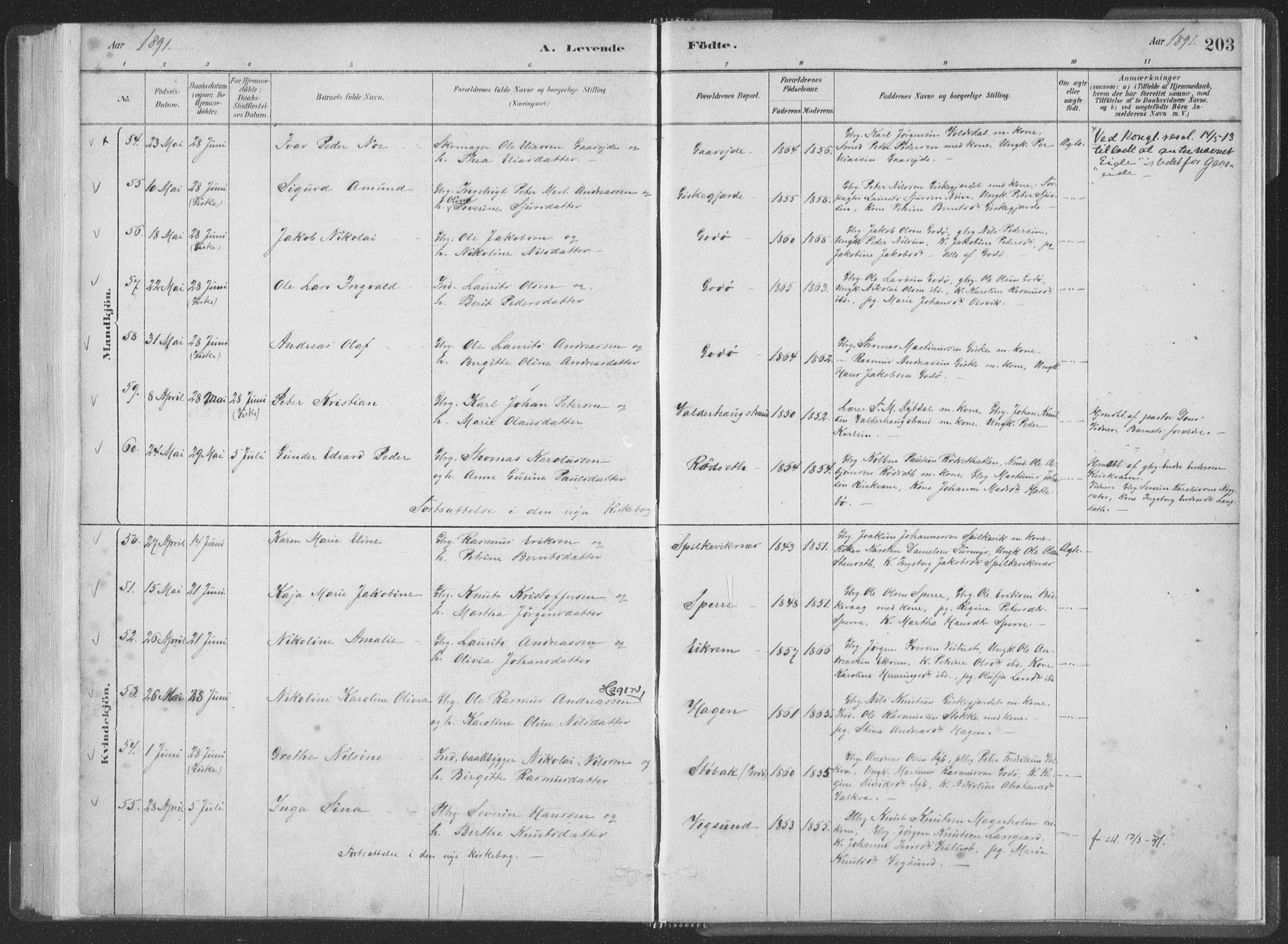 Ministerialprotokoller, klokkerbøker og fødselsregistre - Møre og Romsdal, AV/SAT-A-1454/528/L0401: Parish register (official) no. 528A12I, 1880-1920, p. 203